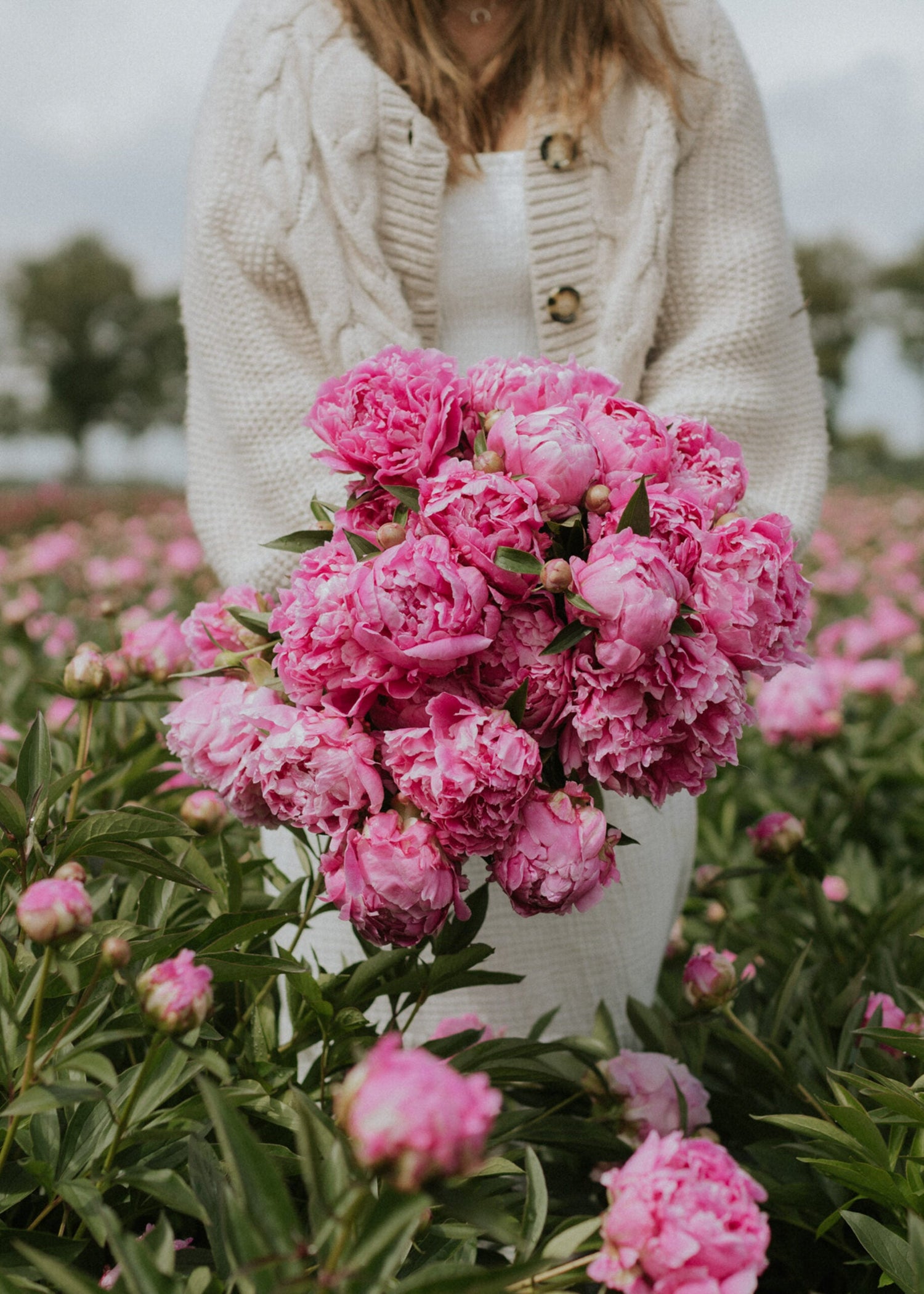 Pion - Alexander Fleming