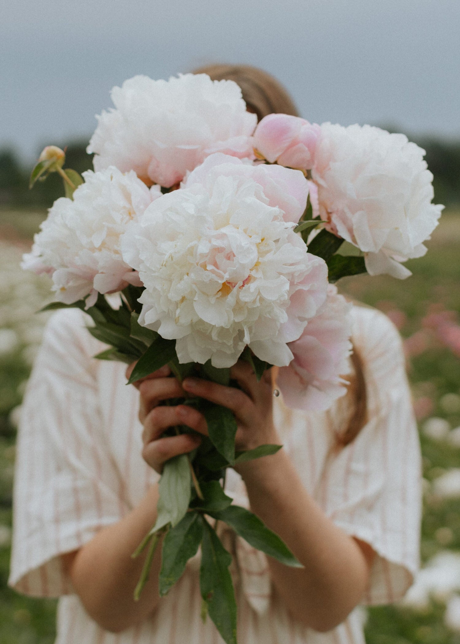 Pion - Catharina Fontijn