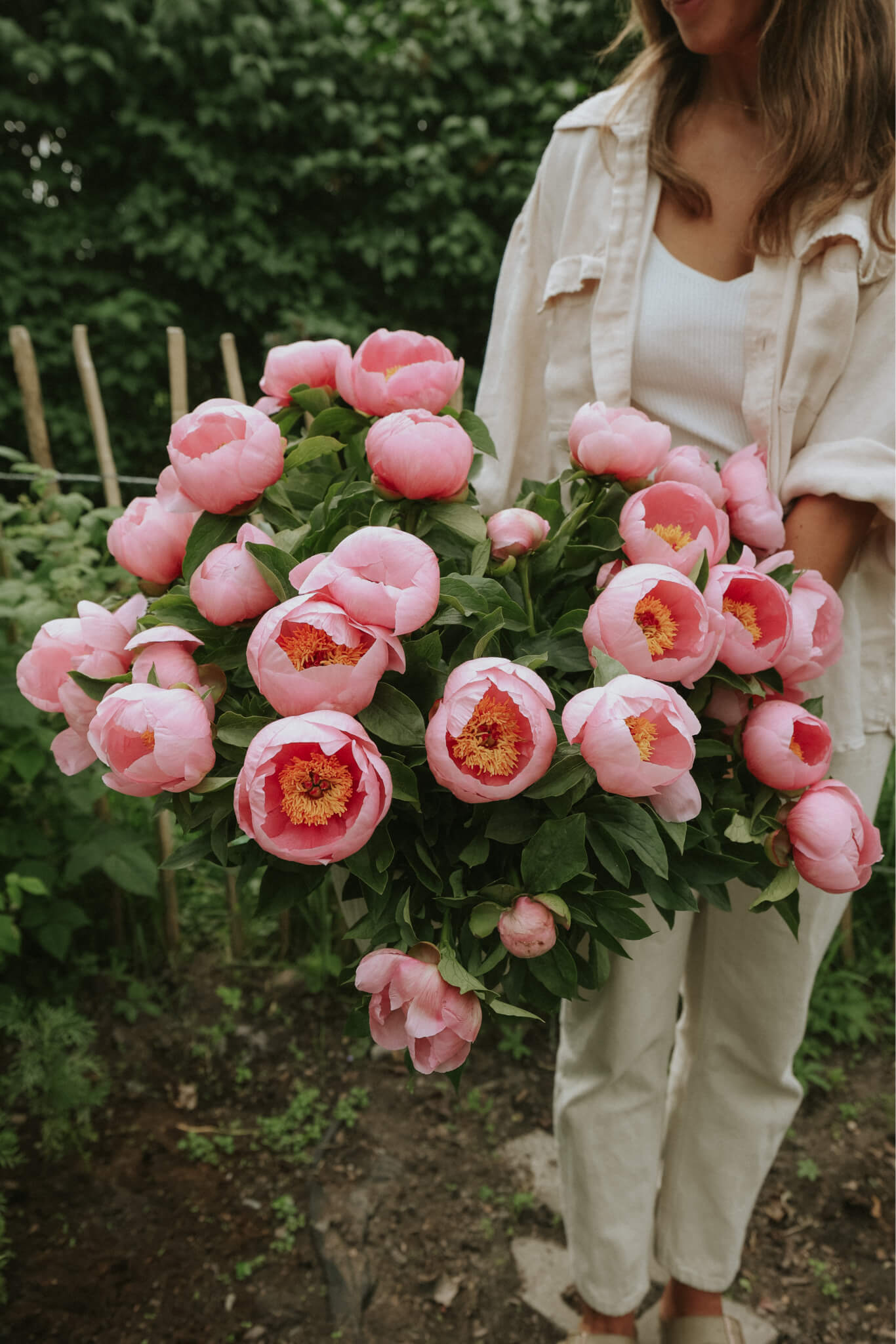 Peony - Salmon Dream