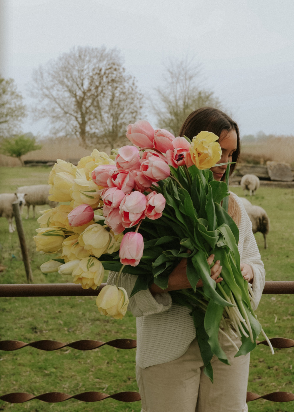 Tulpanpaket - Pastel Promise