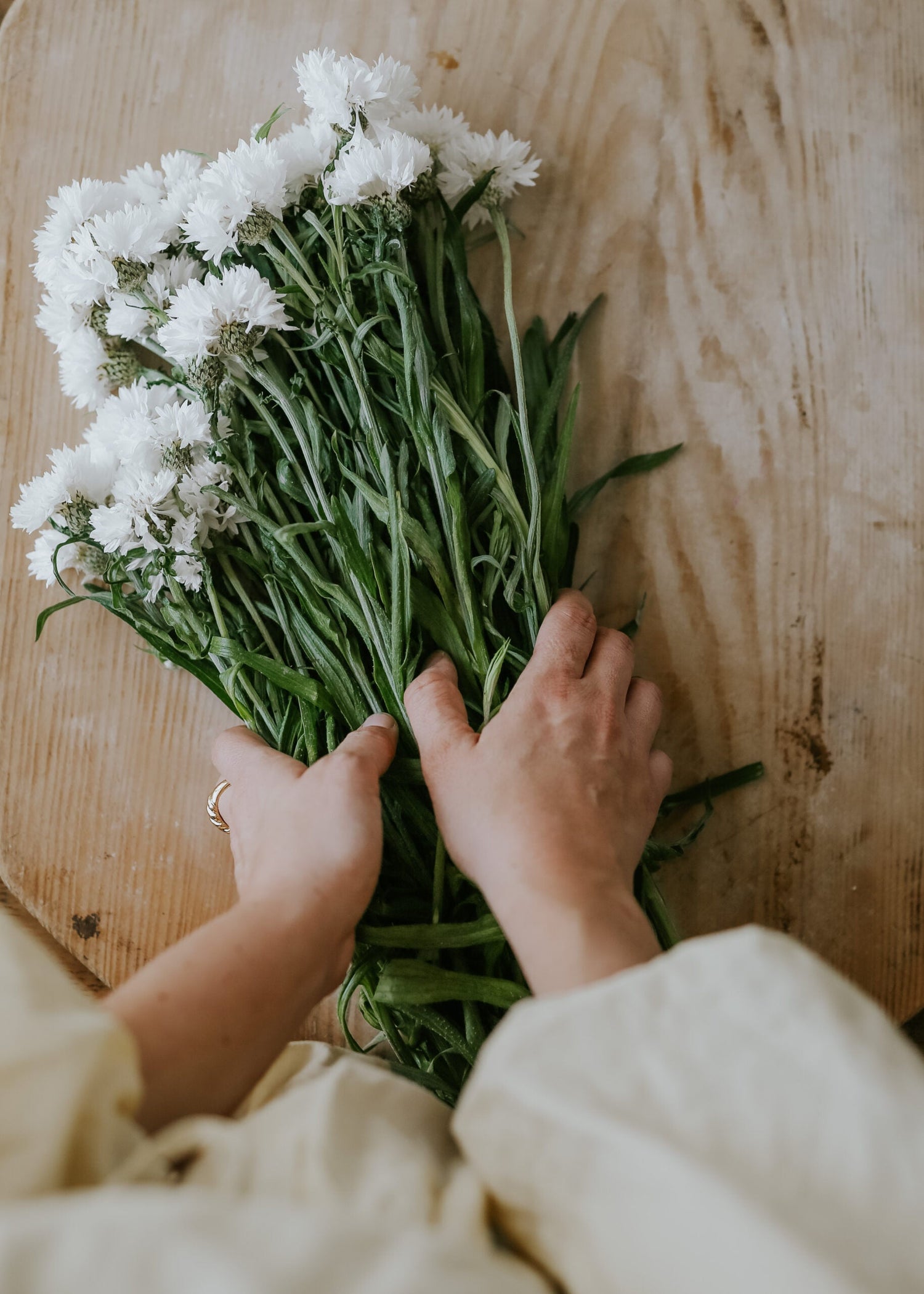 Cornflower - White Ball