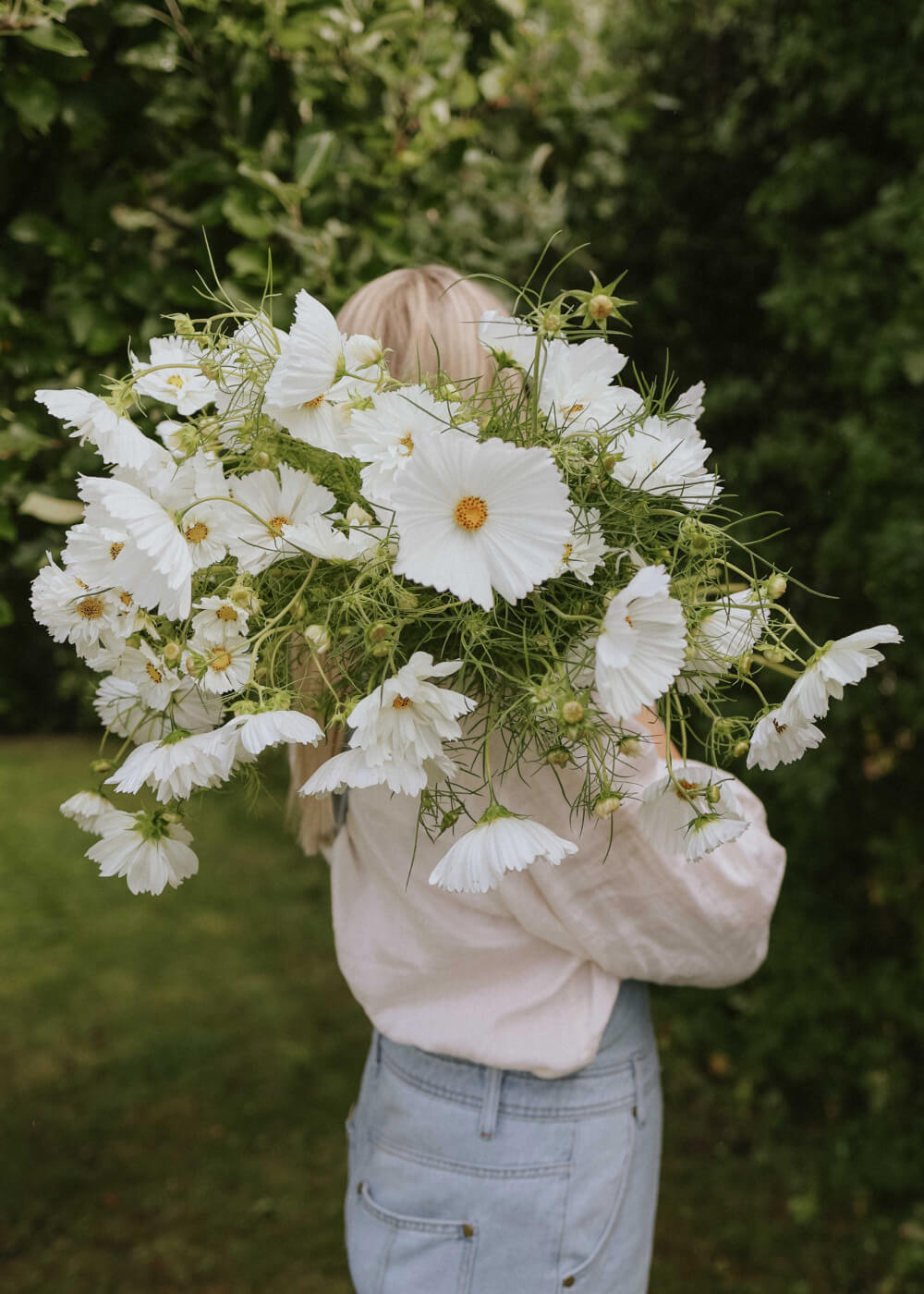 Cosmos mix - Hacienda White