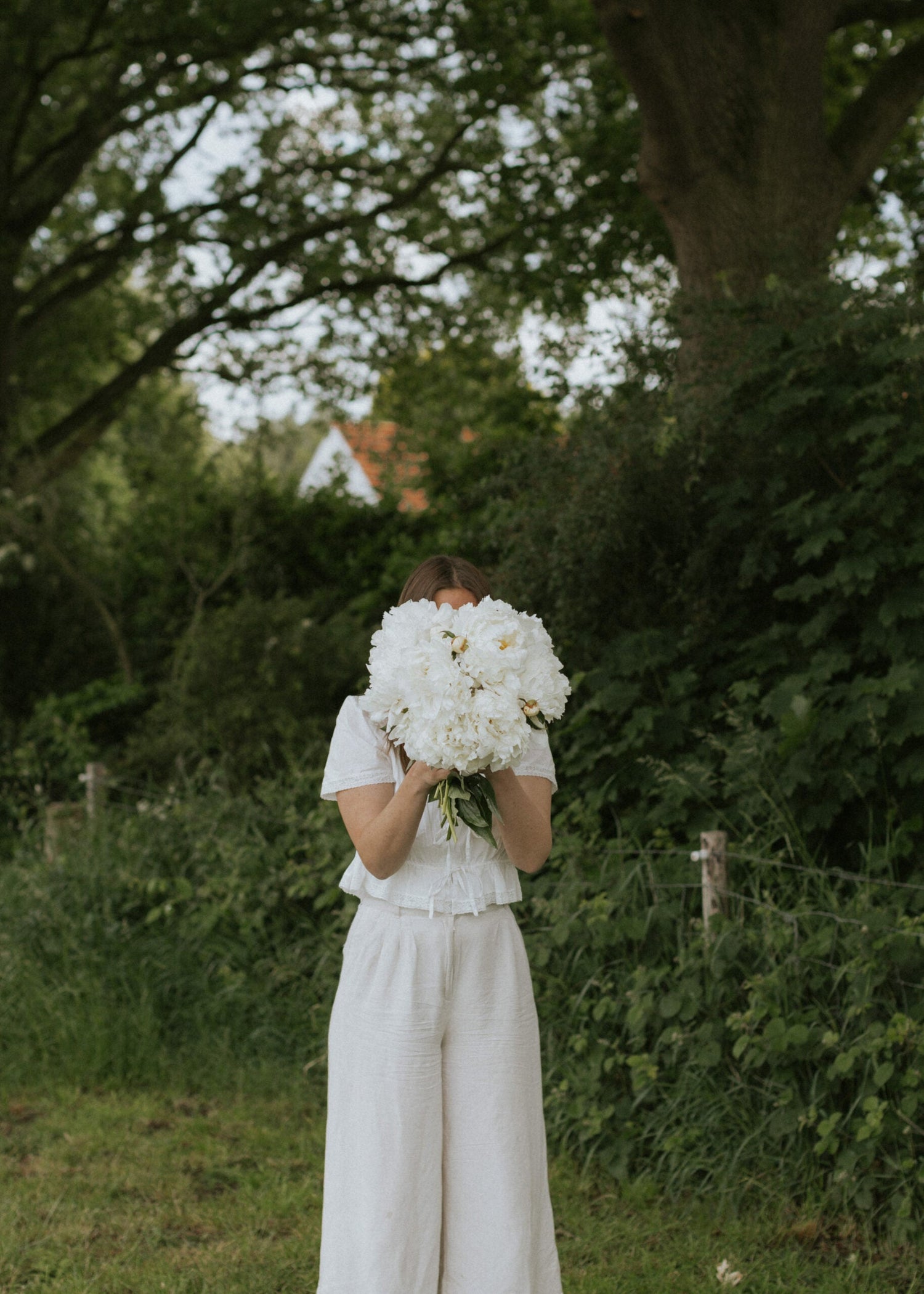 Peony - Bowl of Cream