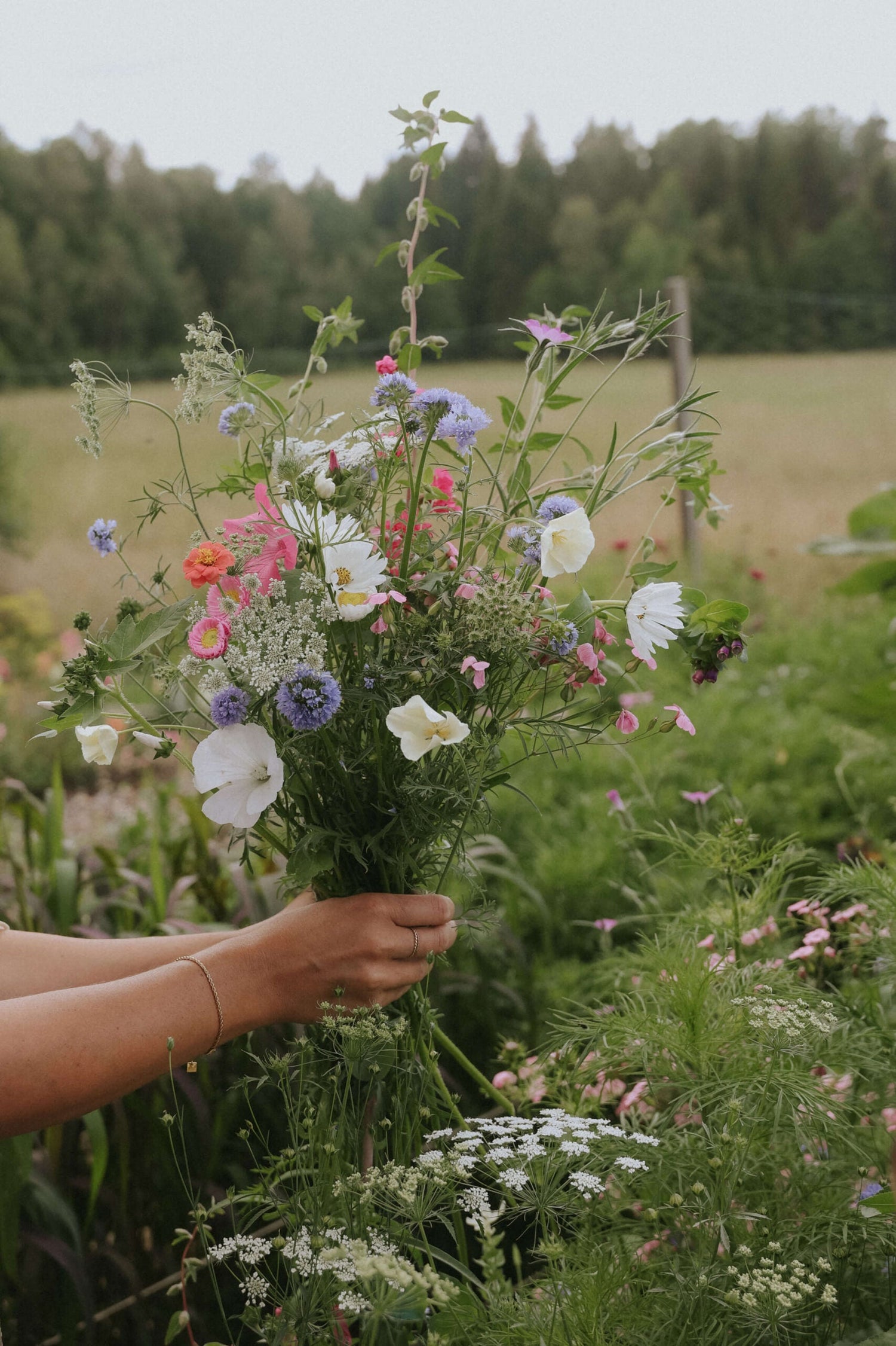 Mélange de bouquets - Pastell