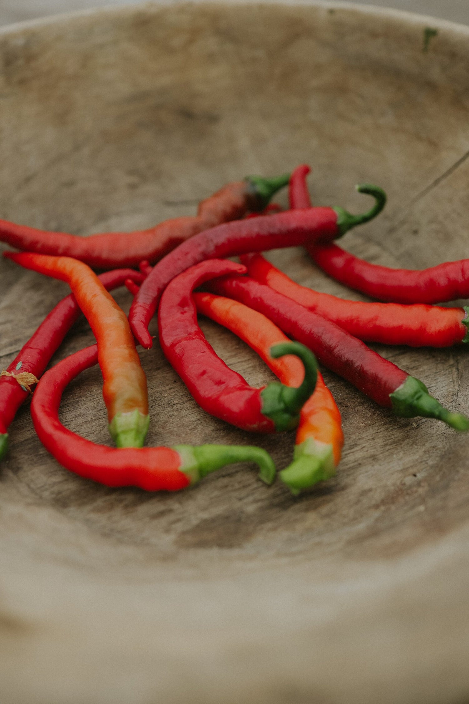 Chili - Pepper Cayenne ECO