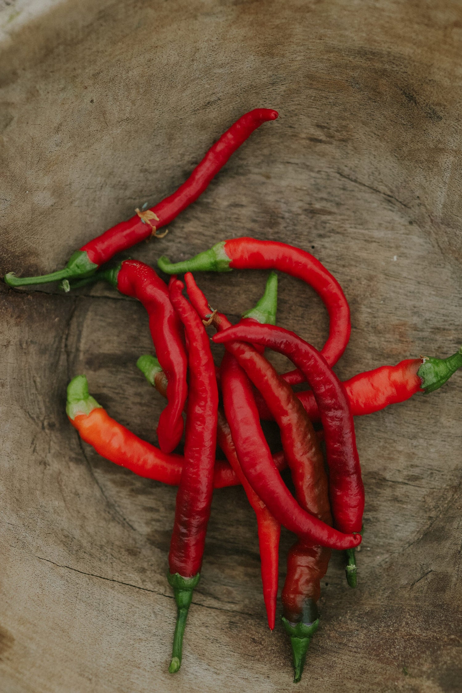 Chili - Pepper Cayenne ECO