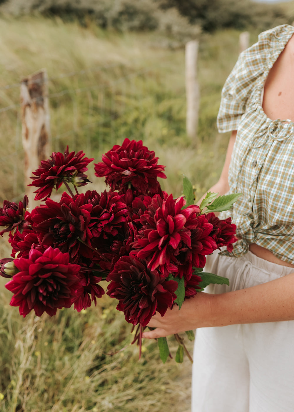 Dahlie - Sam Hopkins