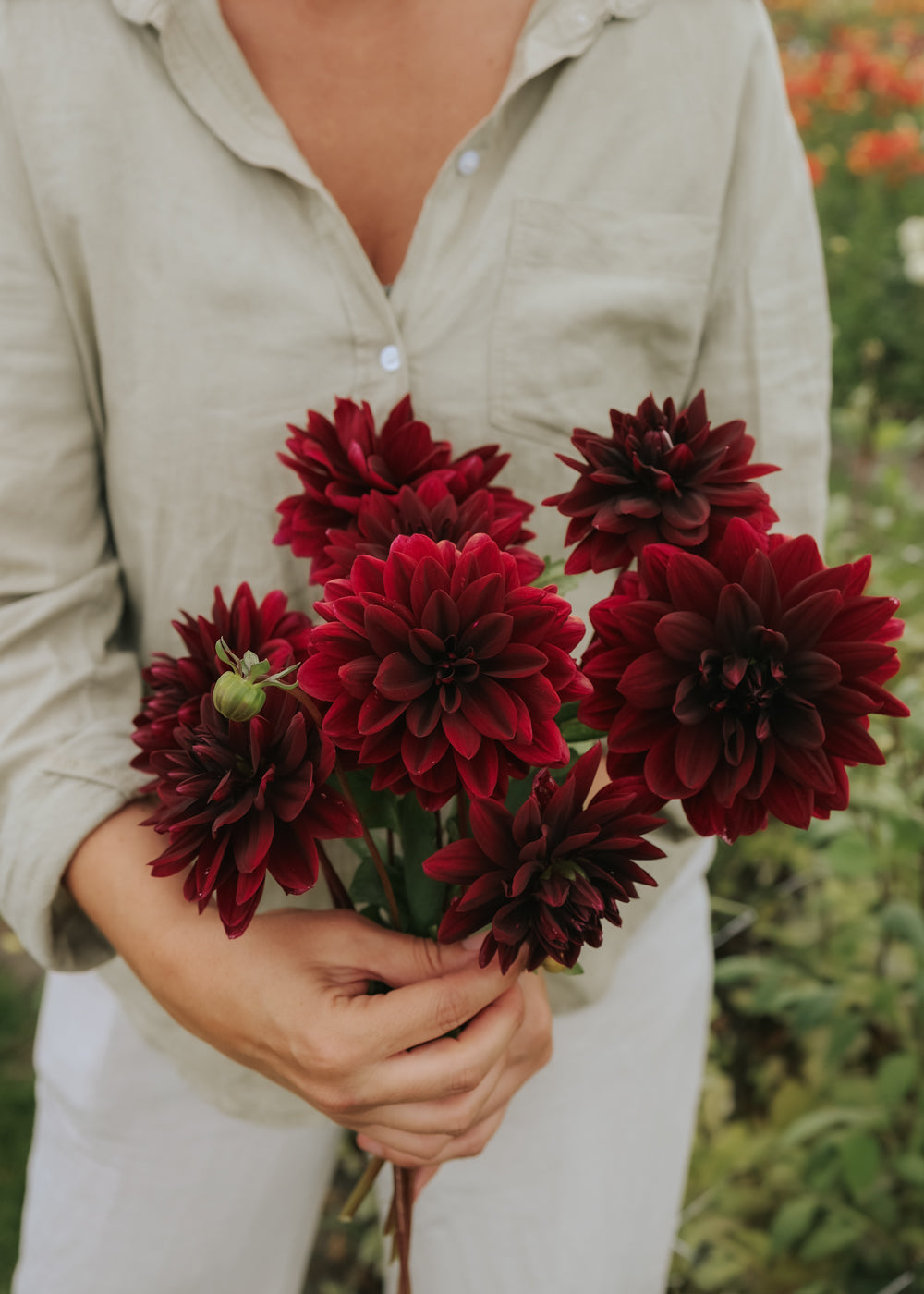 Dahlia - Sam Hopkins