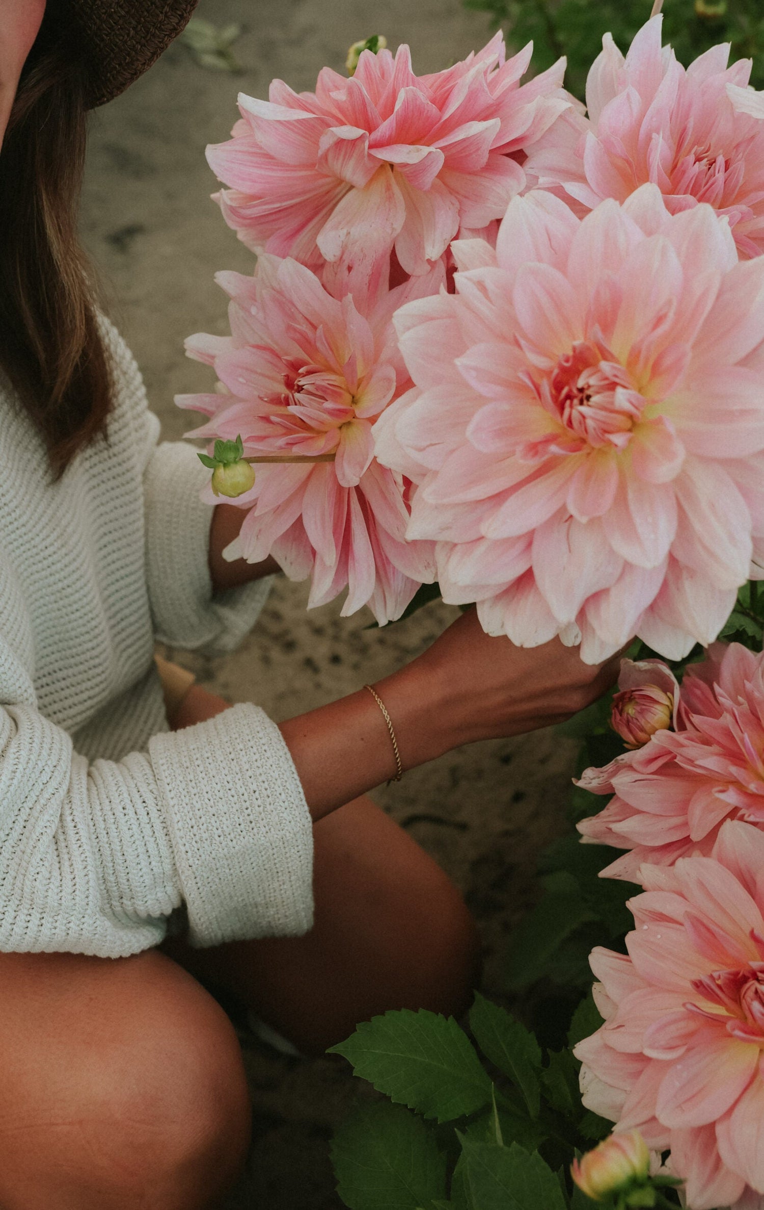 Dahlia - Fairway Pilot