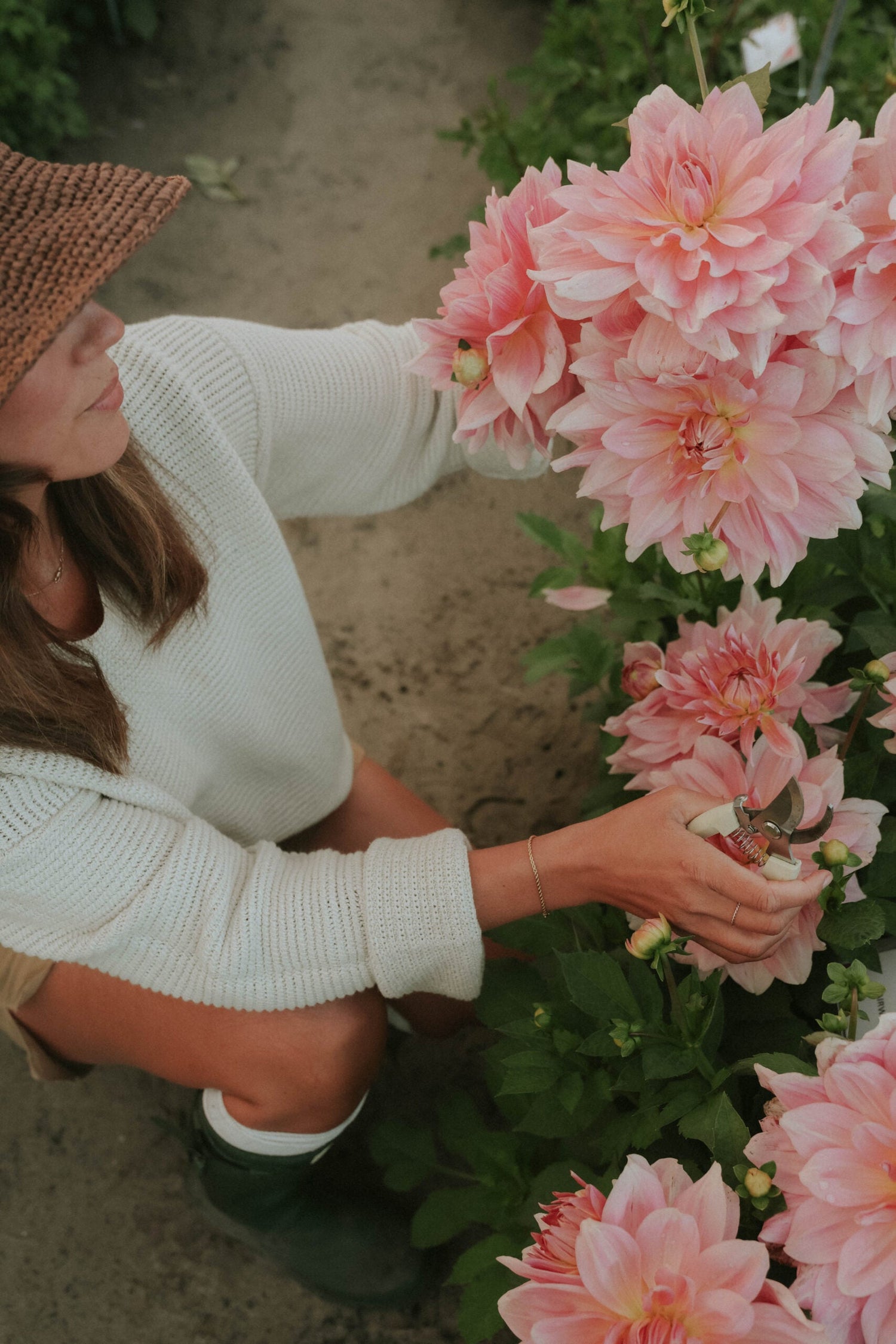 Dahlia - Fairway Pilot