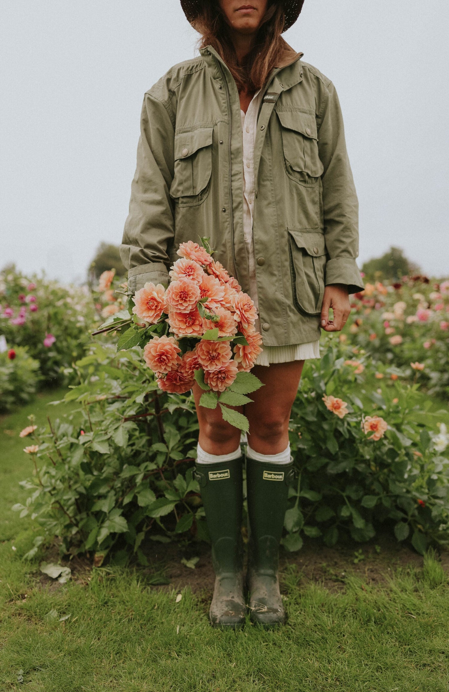 Dahlia - Yelno Harmony