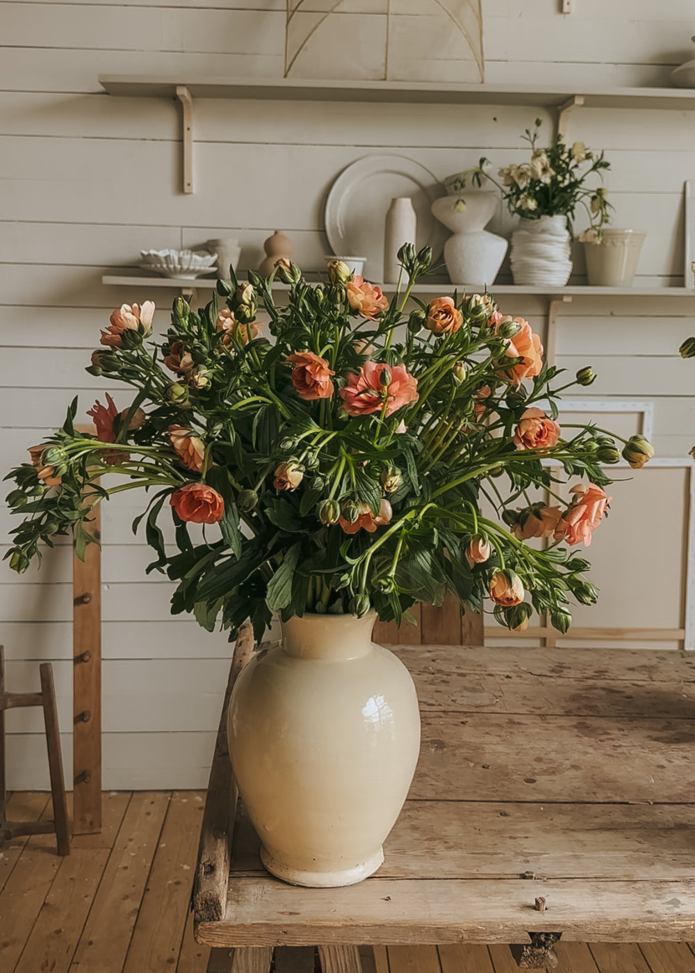 Butterfly Ranunculus – Eris