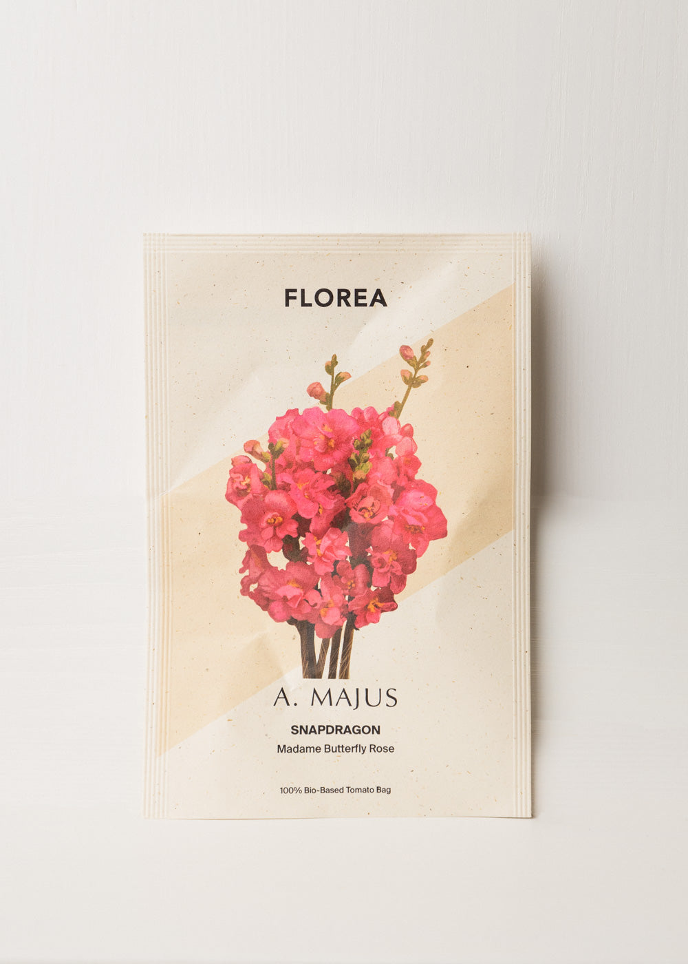 Snapdragon - Potomac Ivory White