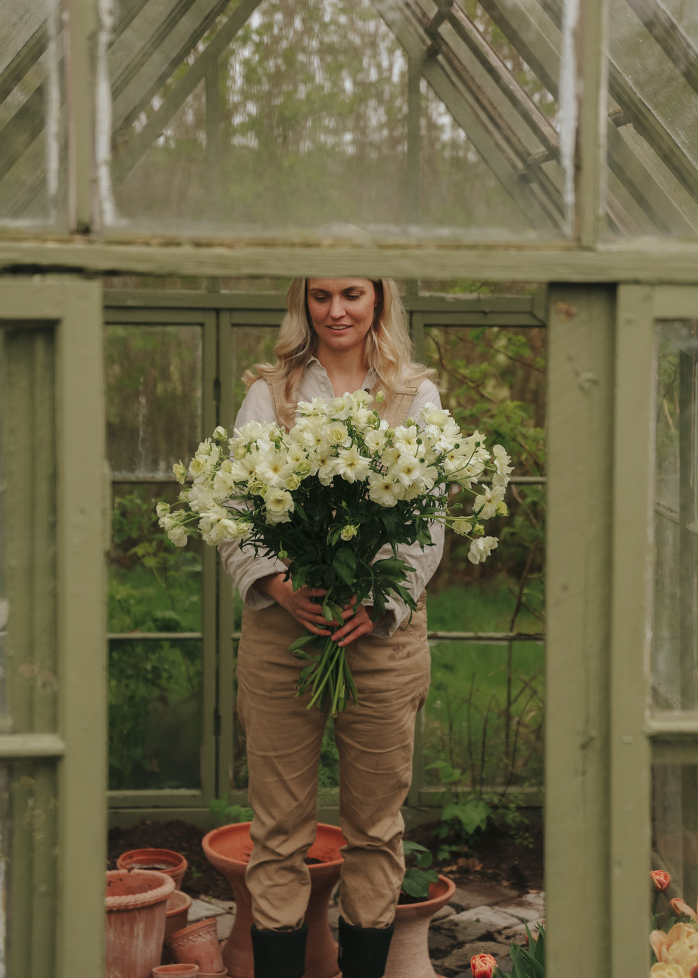 Butterfly Ranunculus – Graces Promo