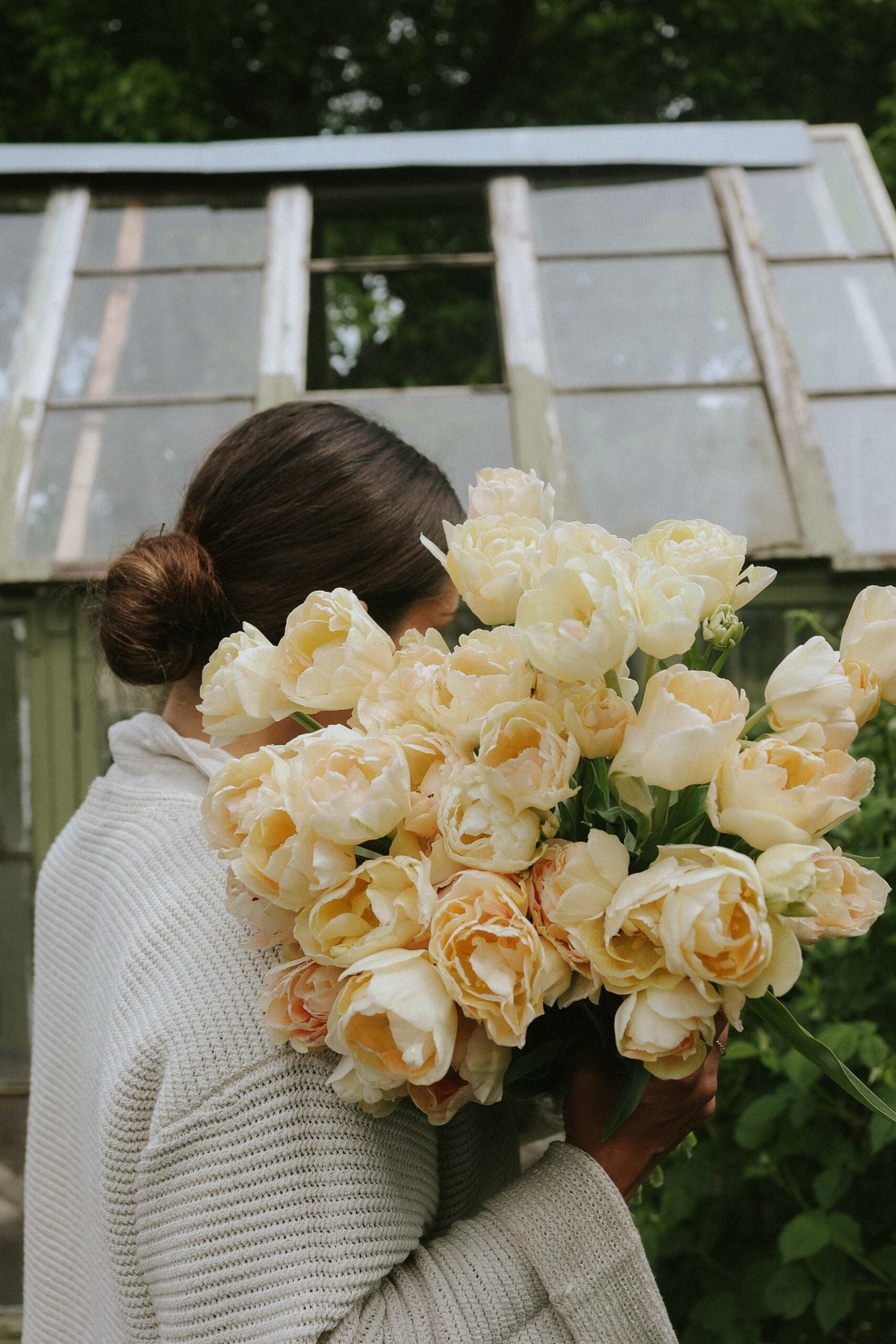 Bulbs Tulip - Charming Beauty - Buy flower bulbs online – Florea Garden