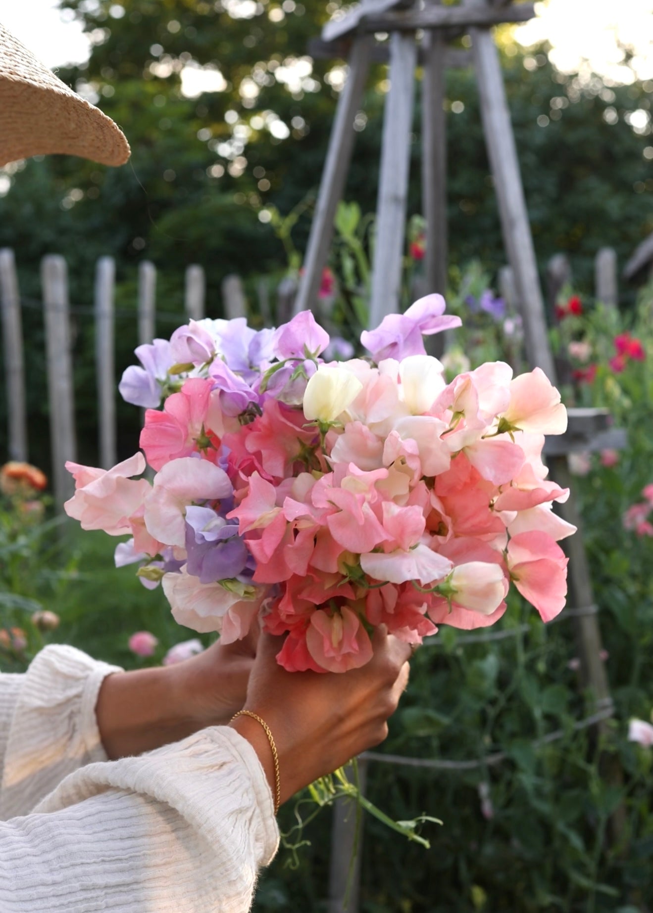 Sweet Pea - Spring Sunshine Mix