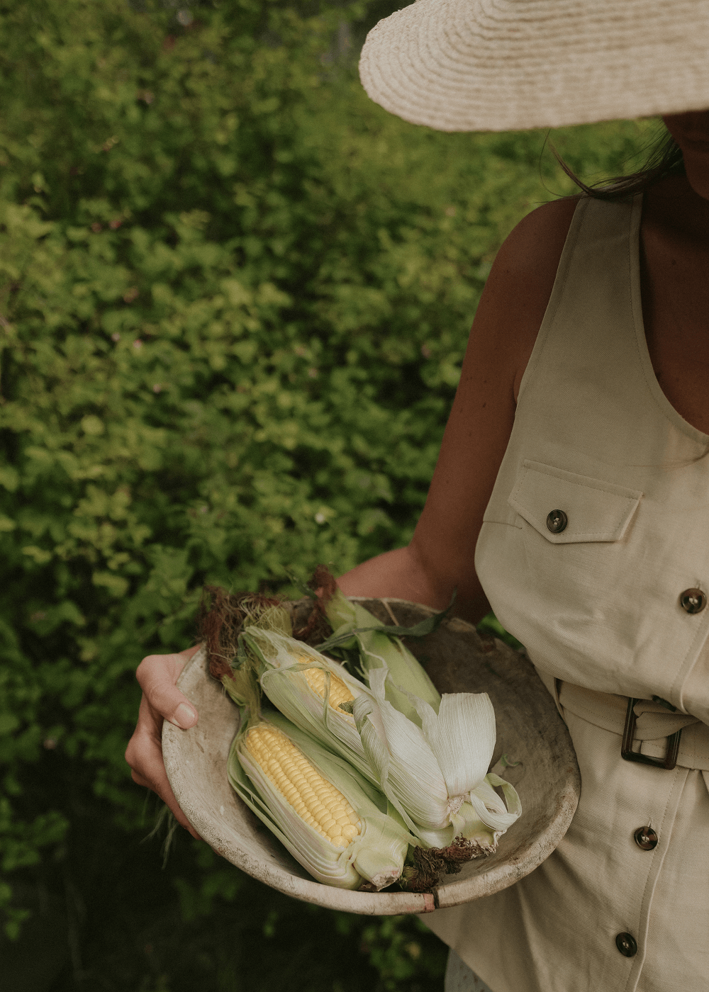 Sockermajs - Tasty Sweet F1