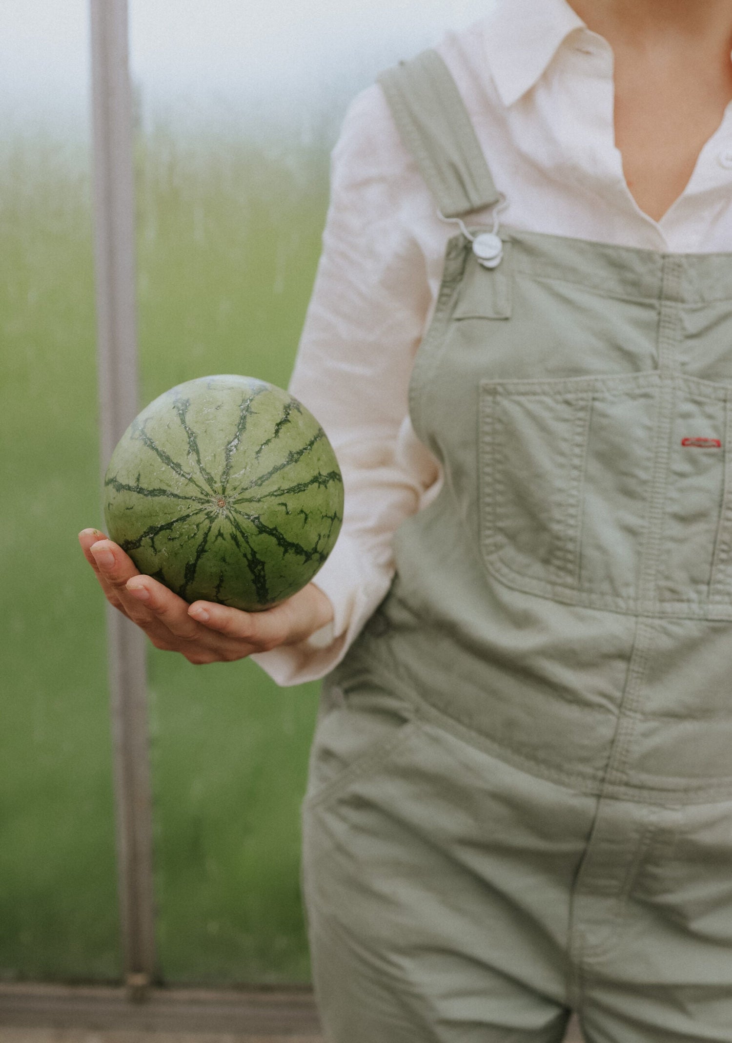 Vattenmelon - Tigrimini F1