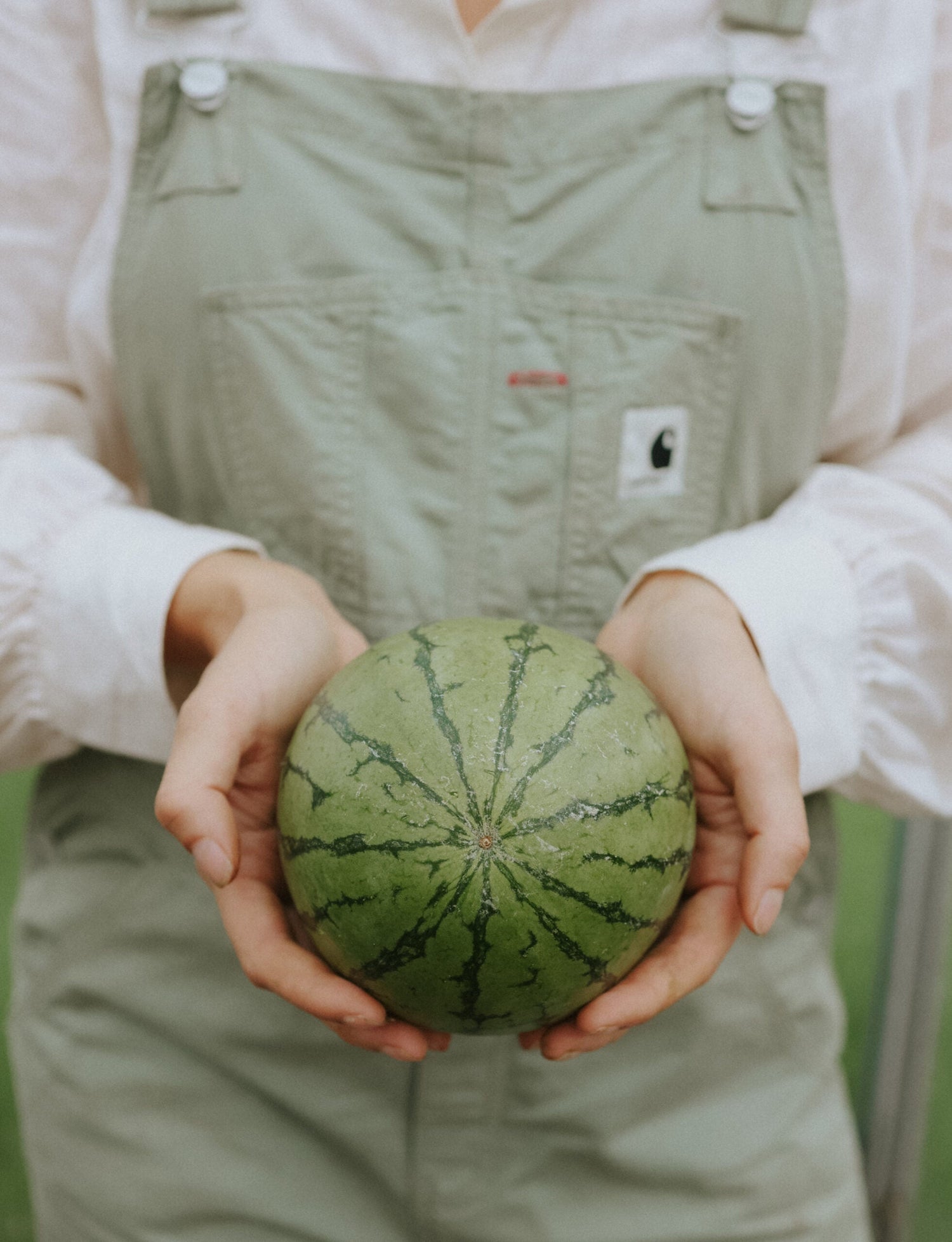 Vattenmelon - Tigrimini F1