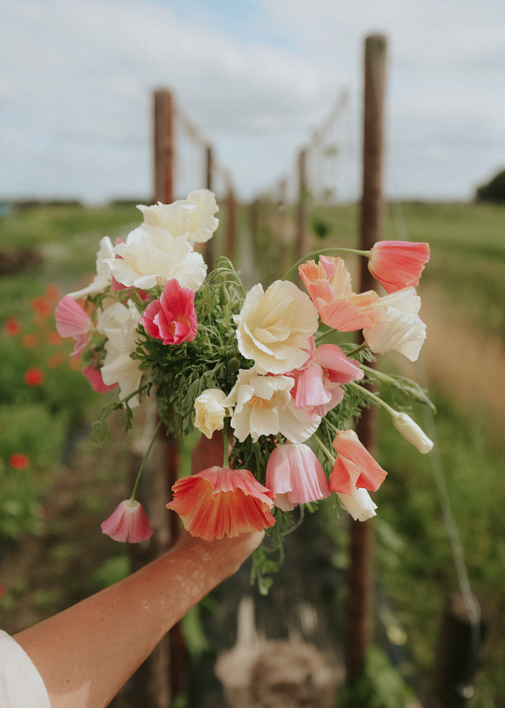 California Poppy - Thai Silk Mix