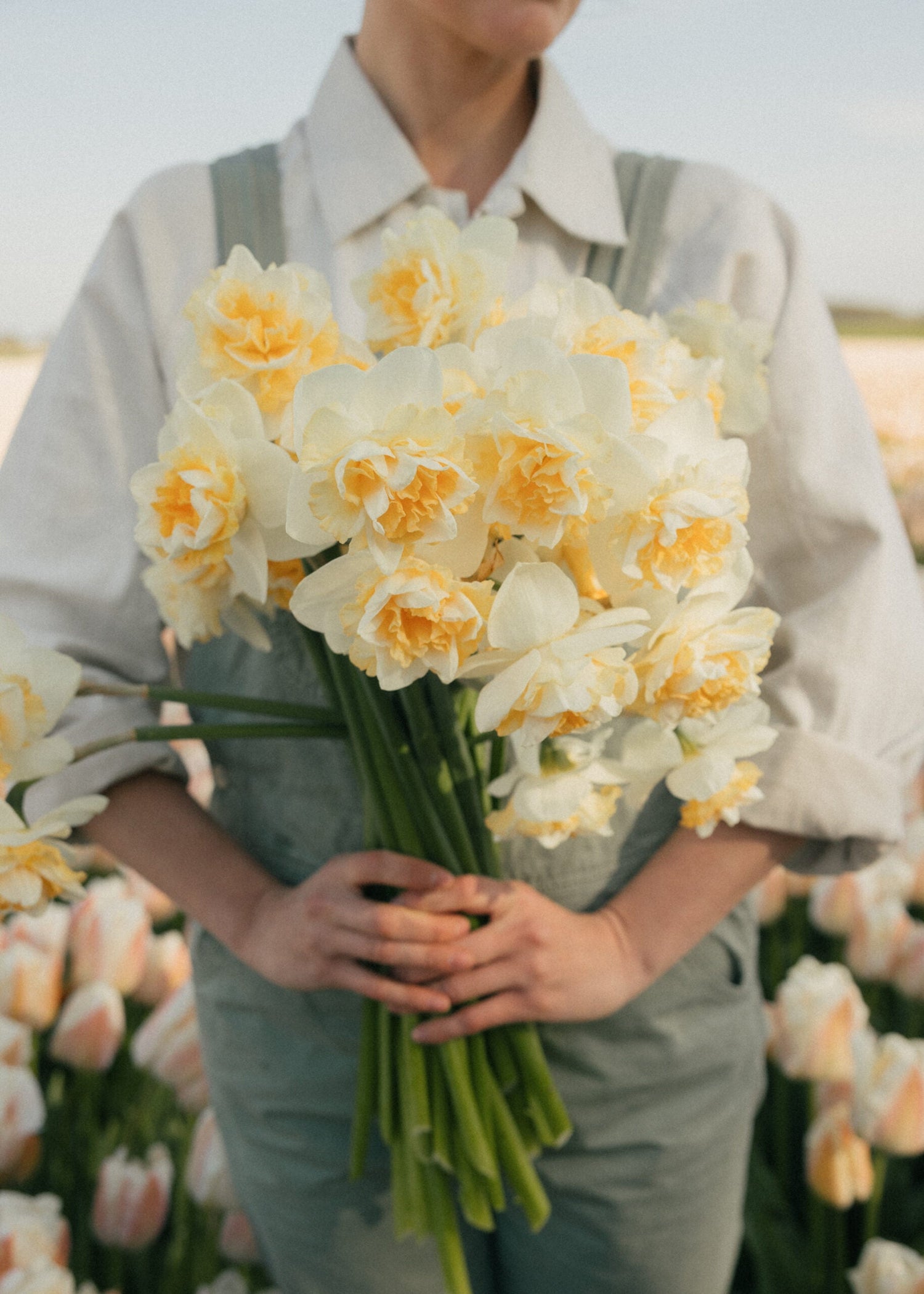 Narcissus - Romantic Paradise