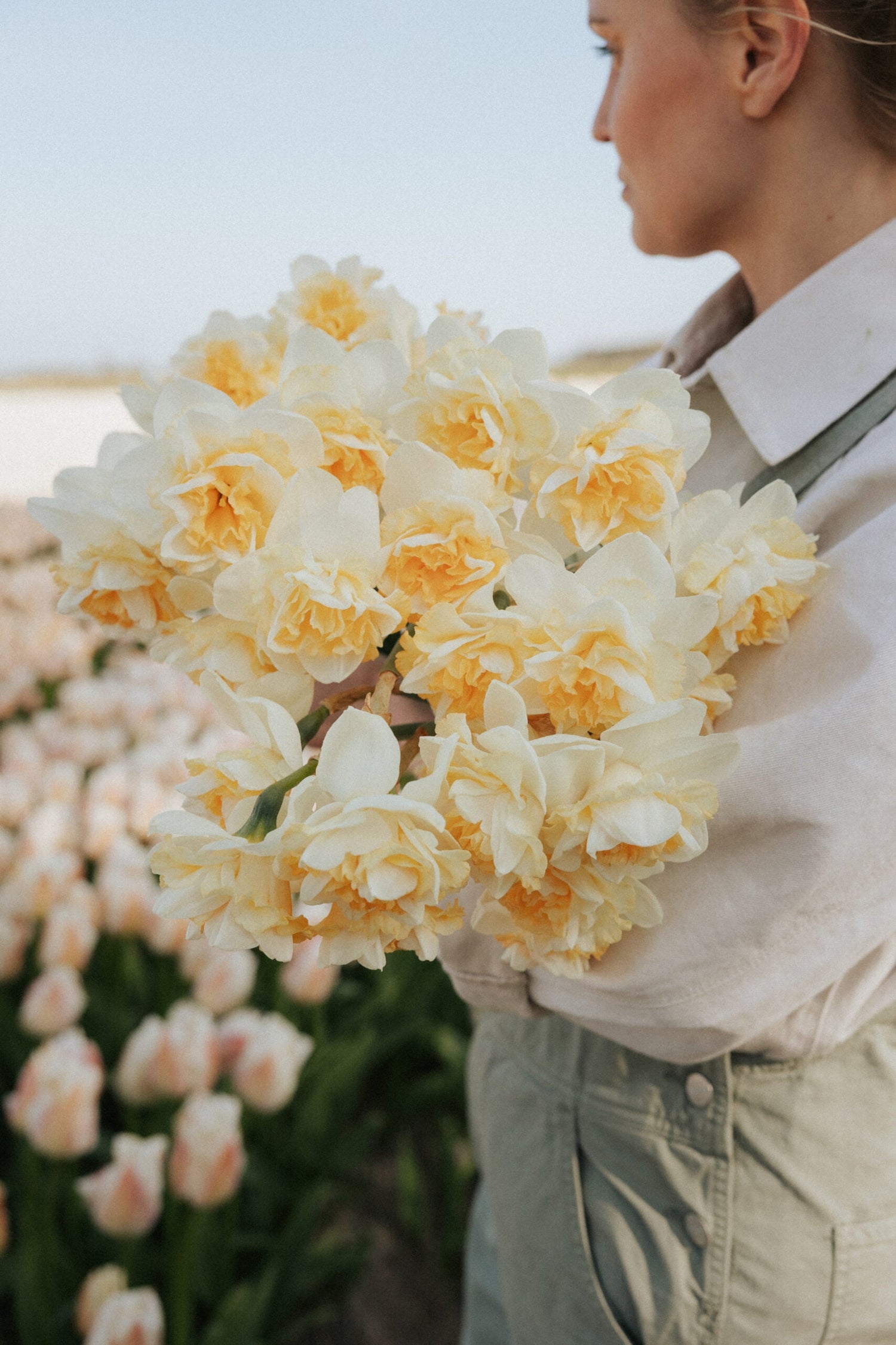 Narcissus - Romantic Paradise