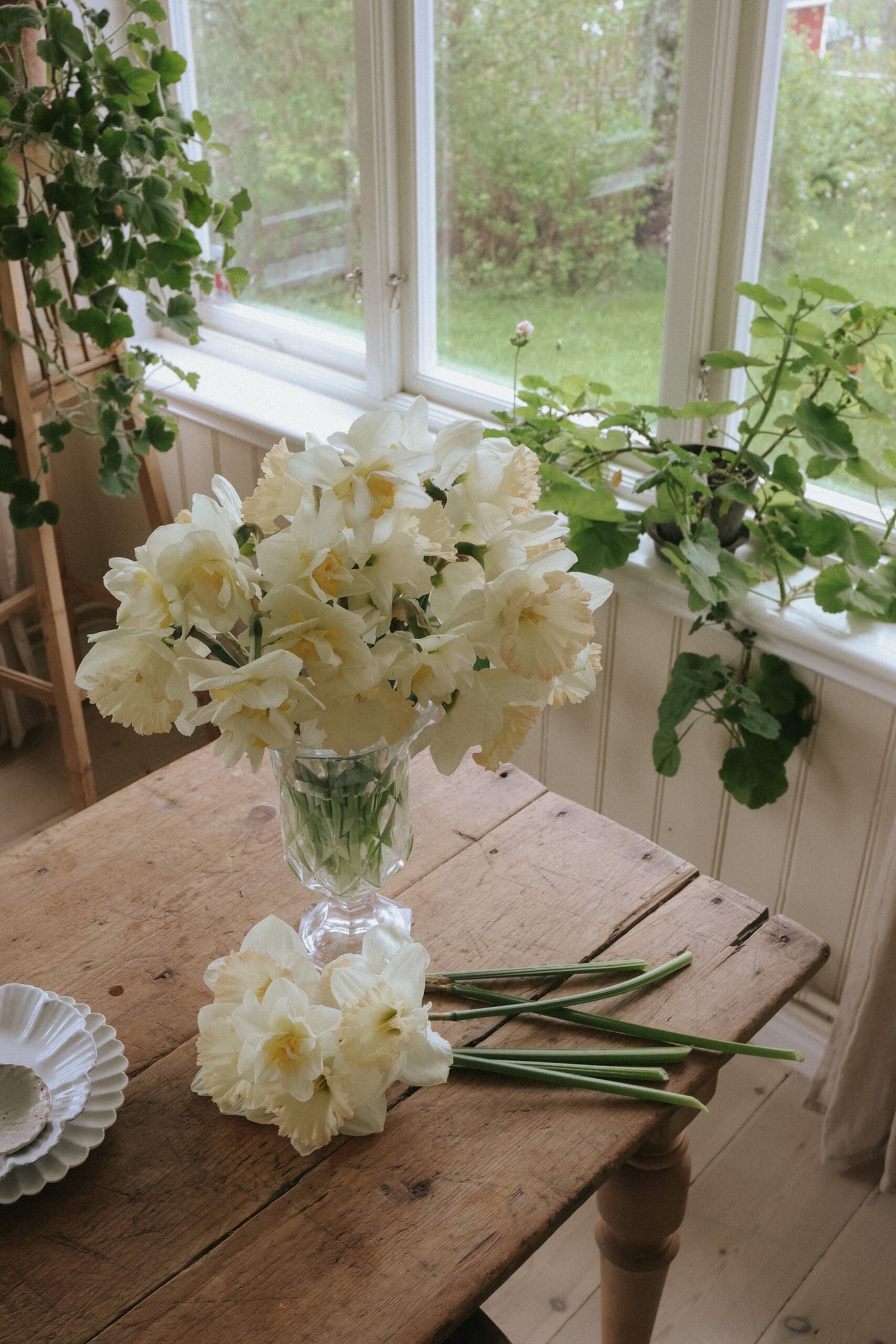 Narciss - British Gamble