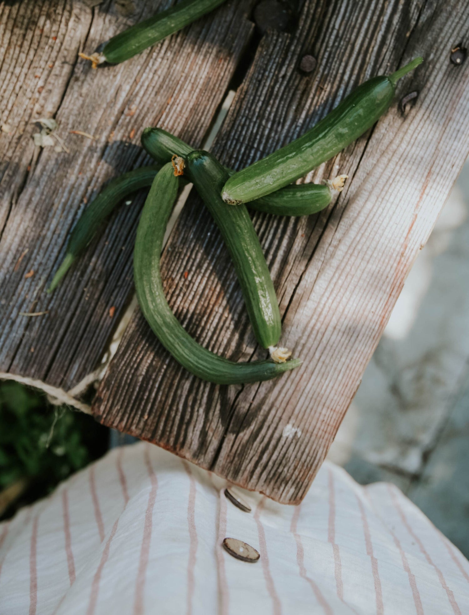 Slanggurka - Laureen F1