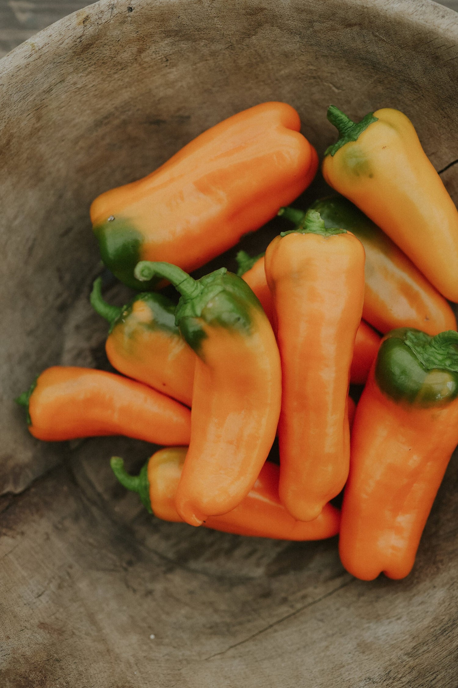 Snackpaprika - Flynn EKO