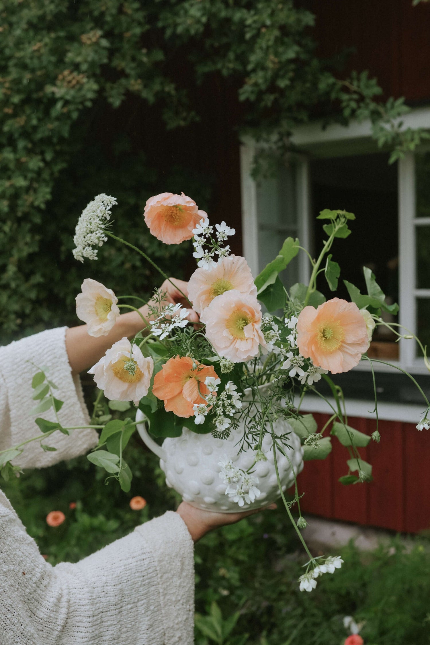 Artic Poppy - Rosa Chiaro Pastello