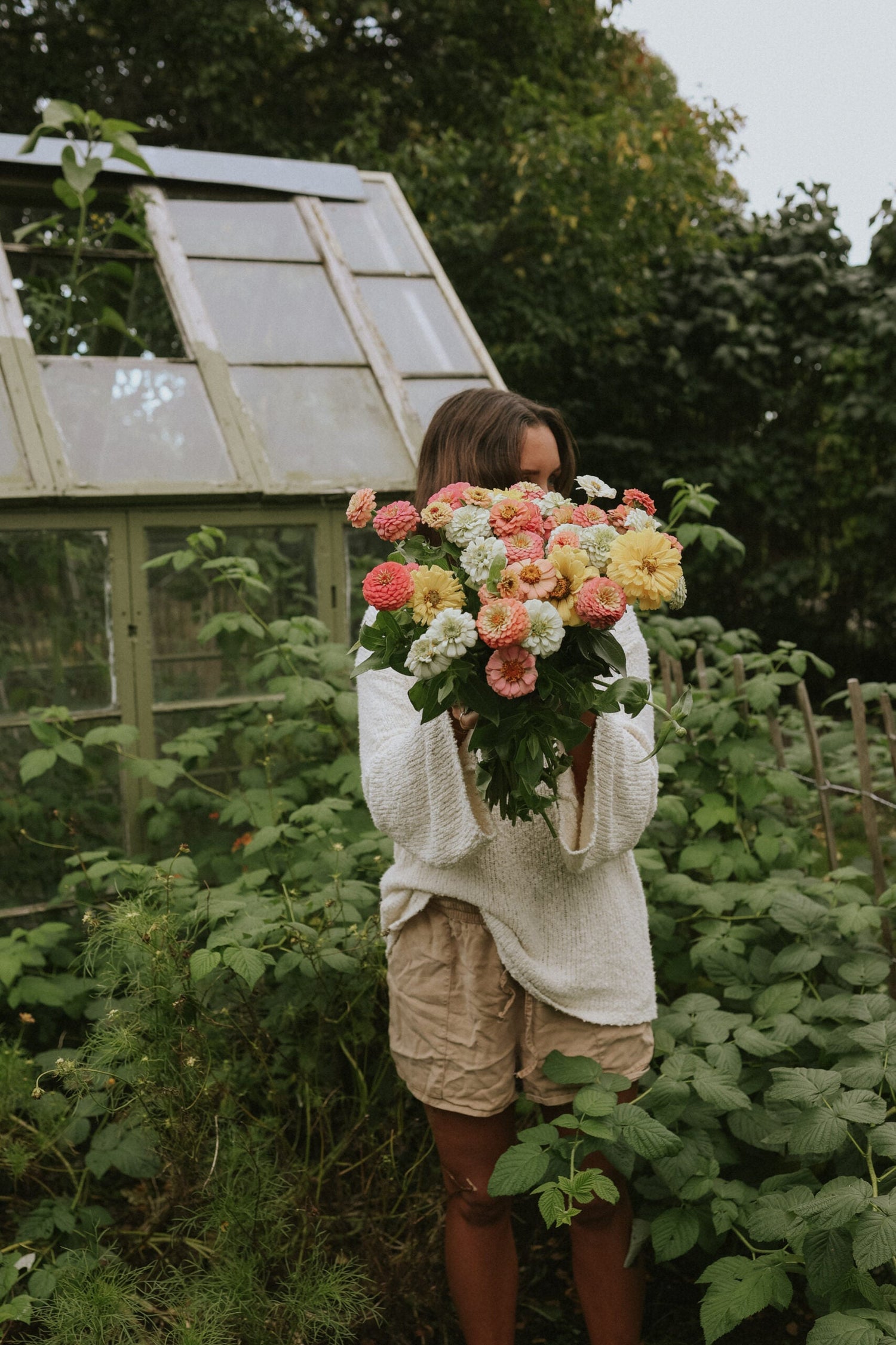 Zinnia - Peaches & Cream