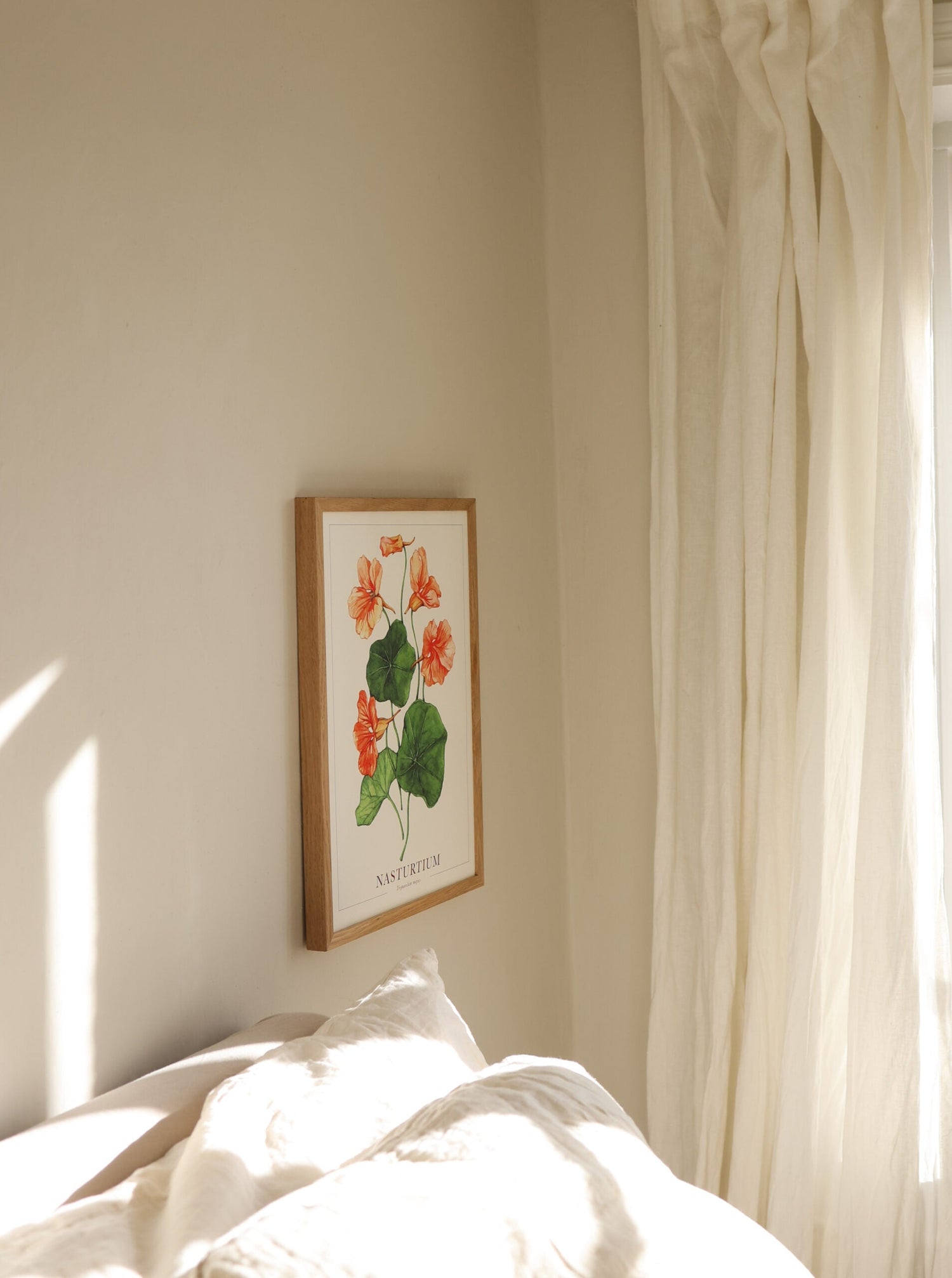 Poster - Salmon Gleam