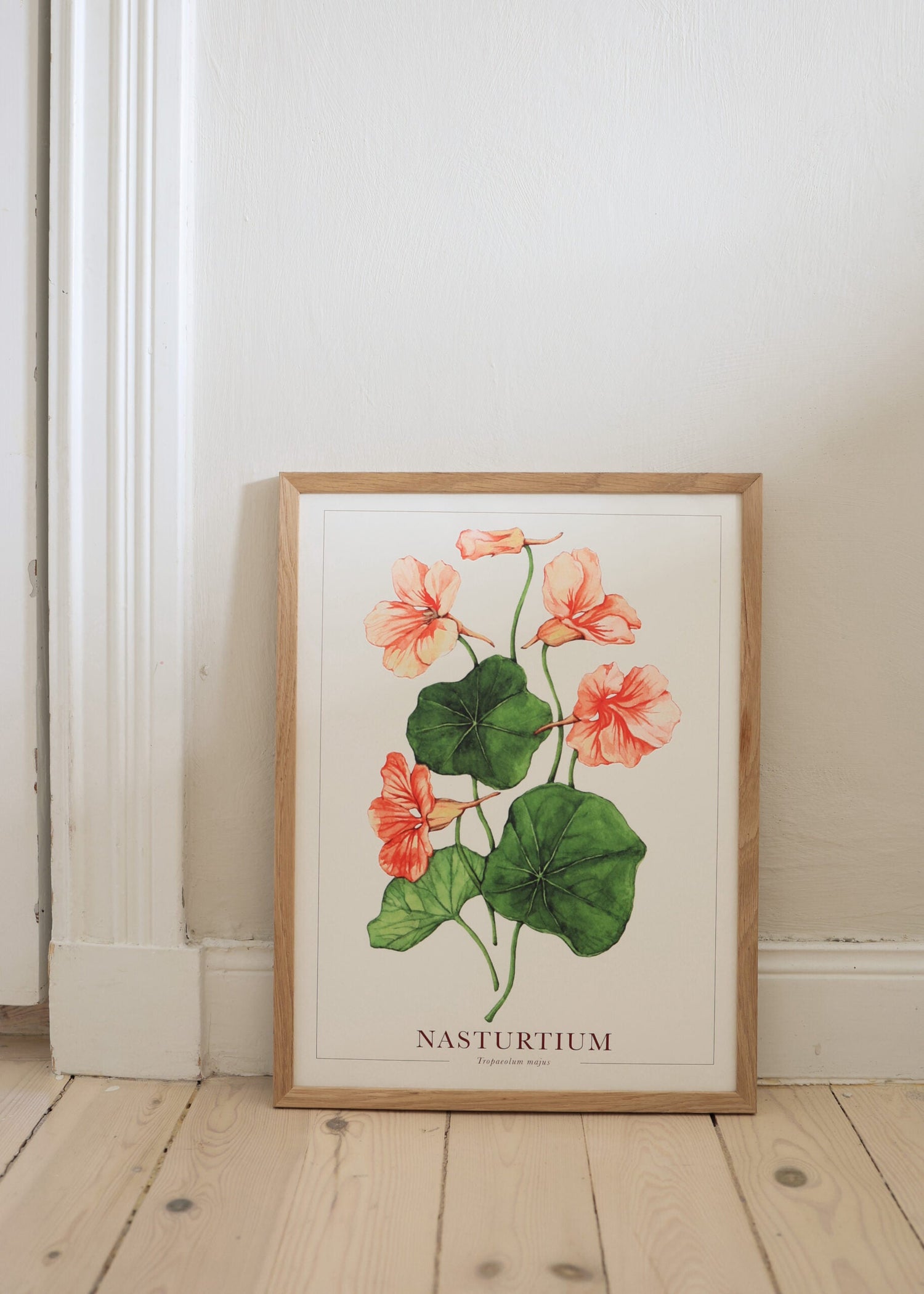 Poster - Salmon Gleam