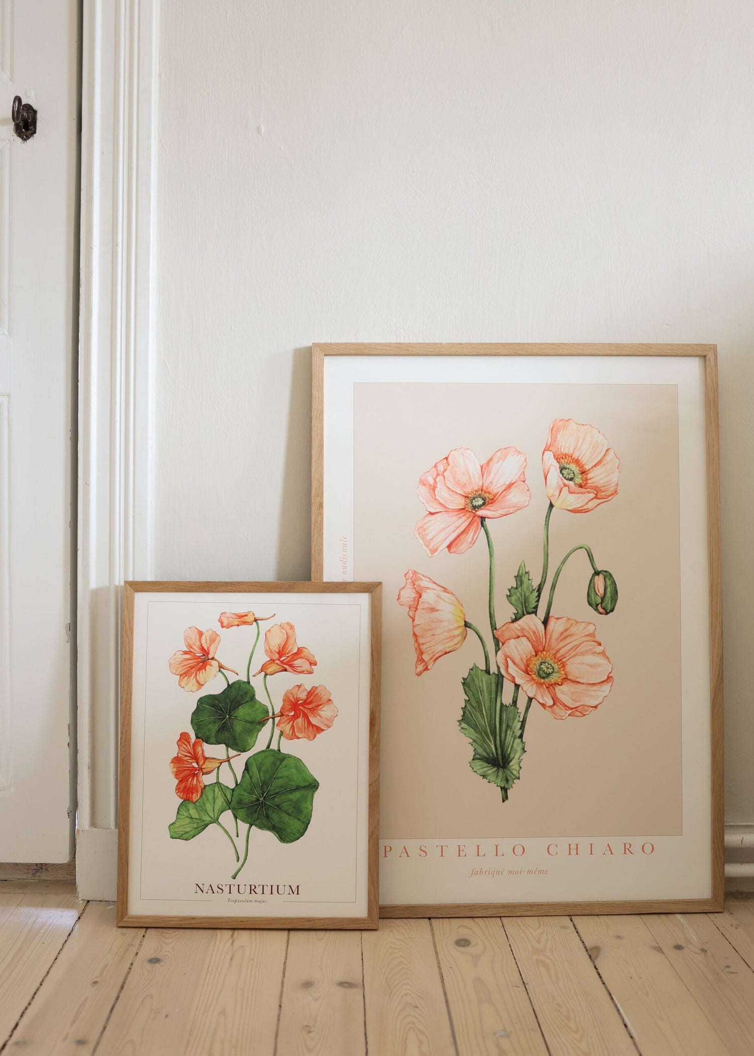 Poster - Salmon Gleam