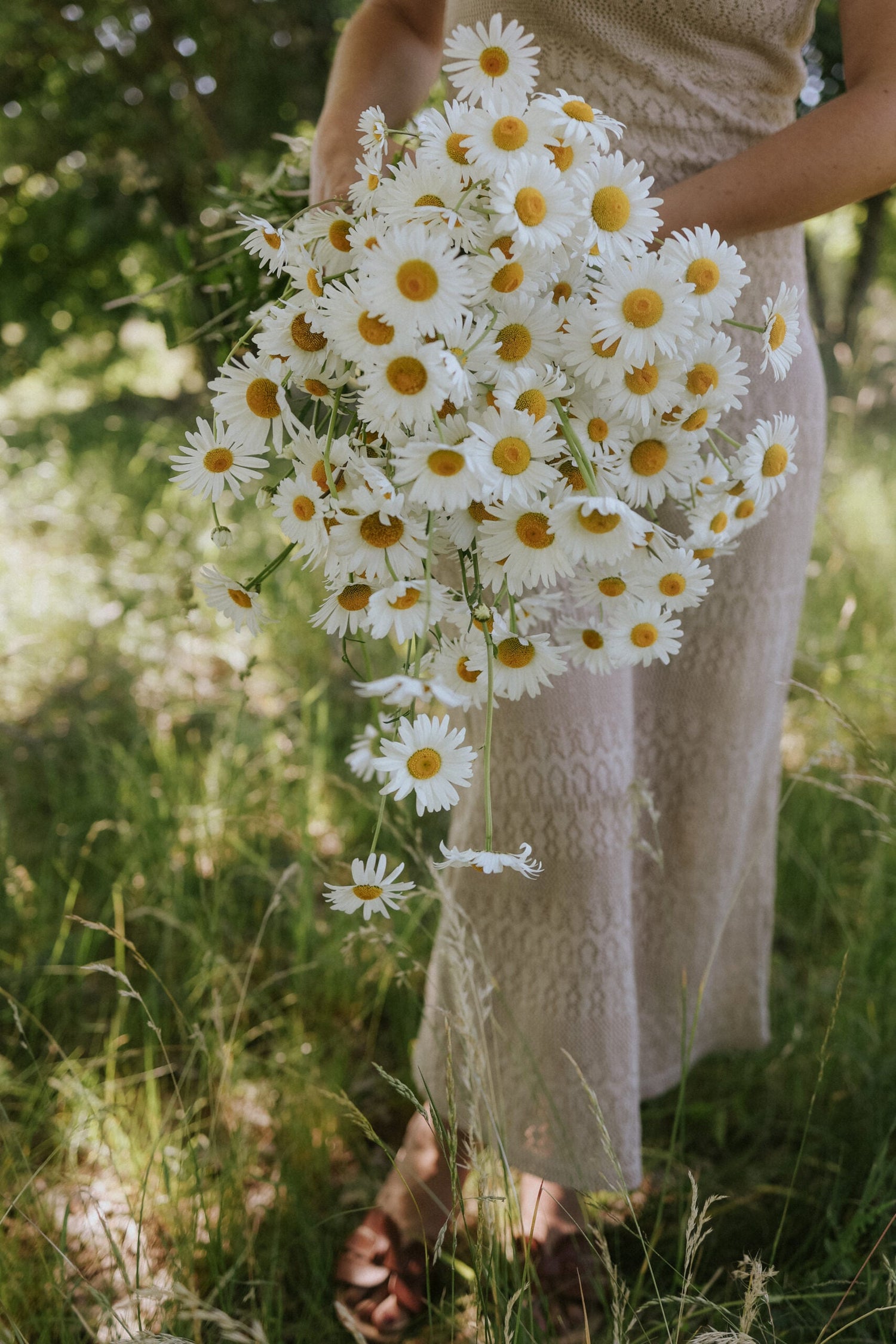 Prästkrage - May Queen