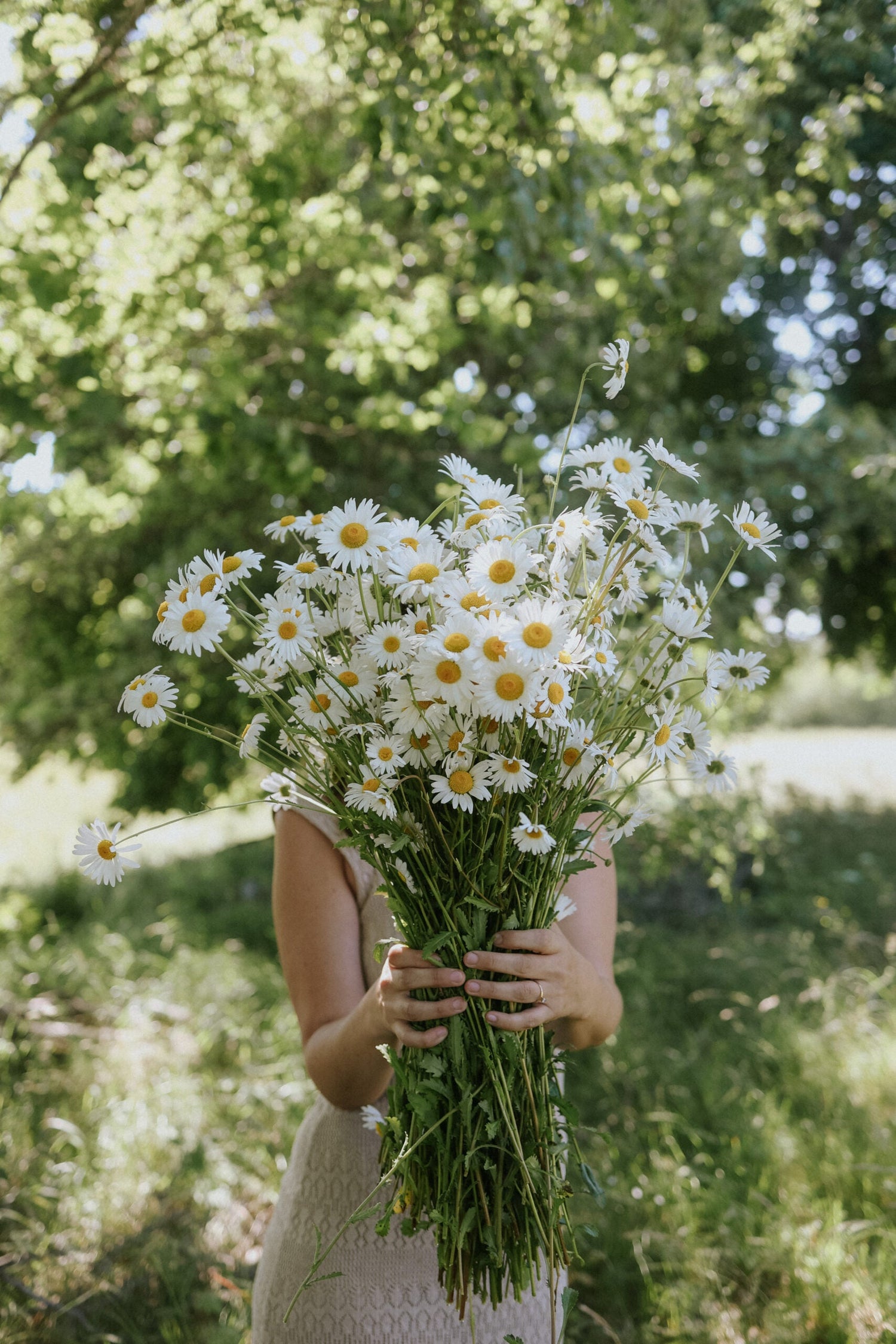 Prästkrage - May Queen