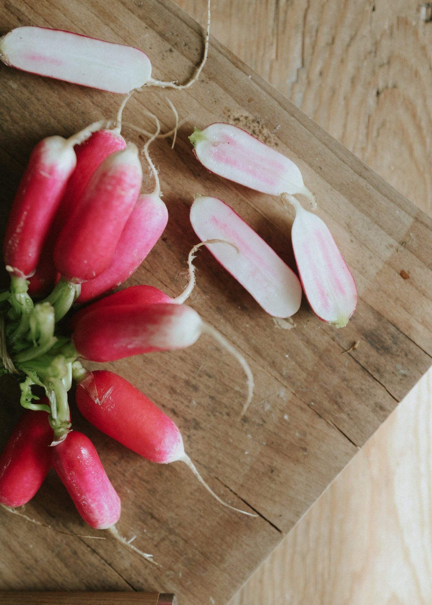 Rädisa - Red Impression F1