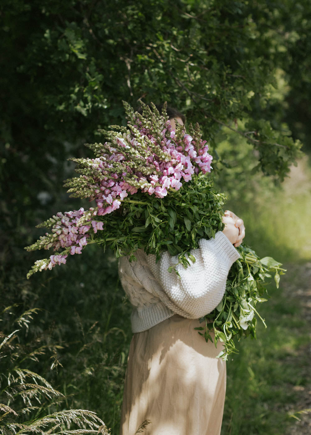 Snapdragon - Potomac Lavender