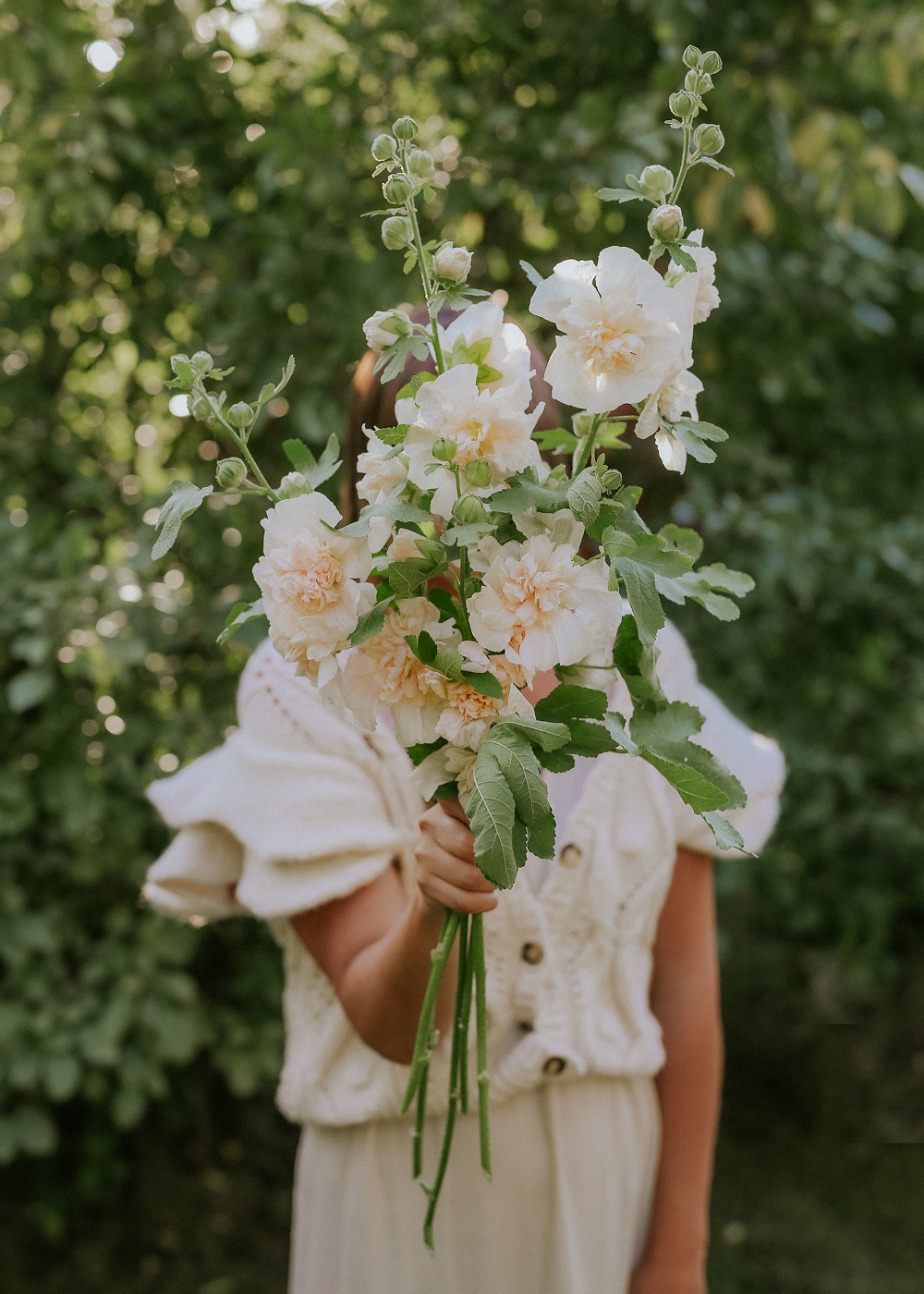 Hollyhock - Majorette double Champagne