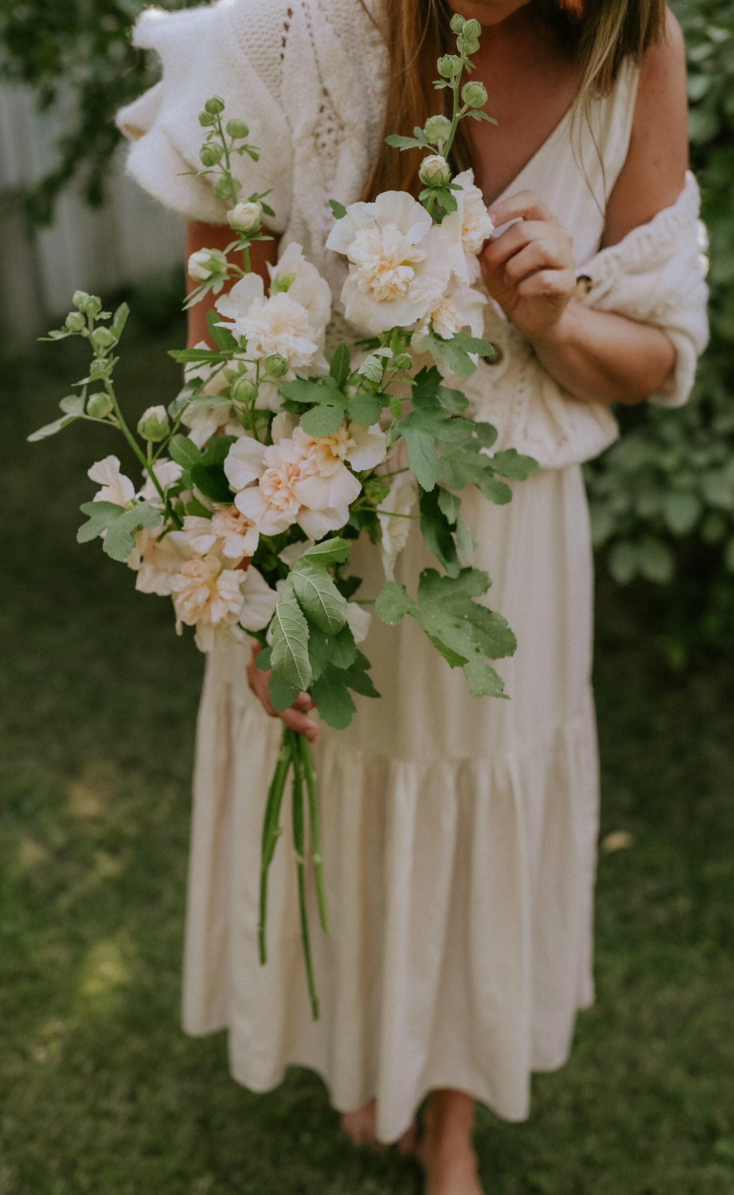 Hollyhock - Majorette double Champagne