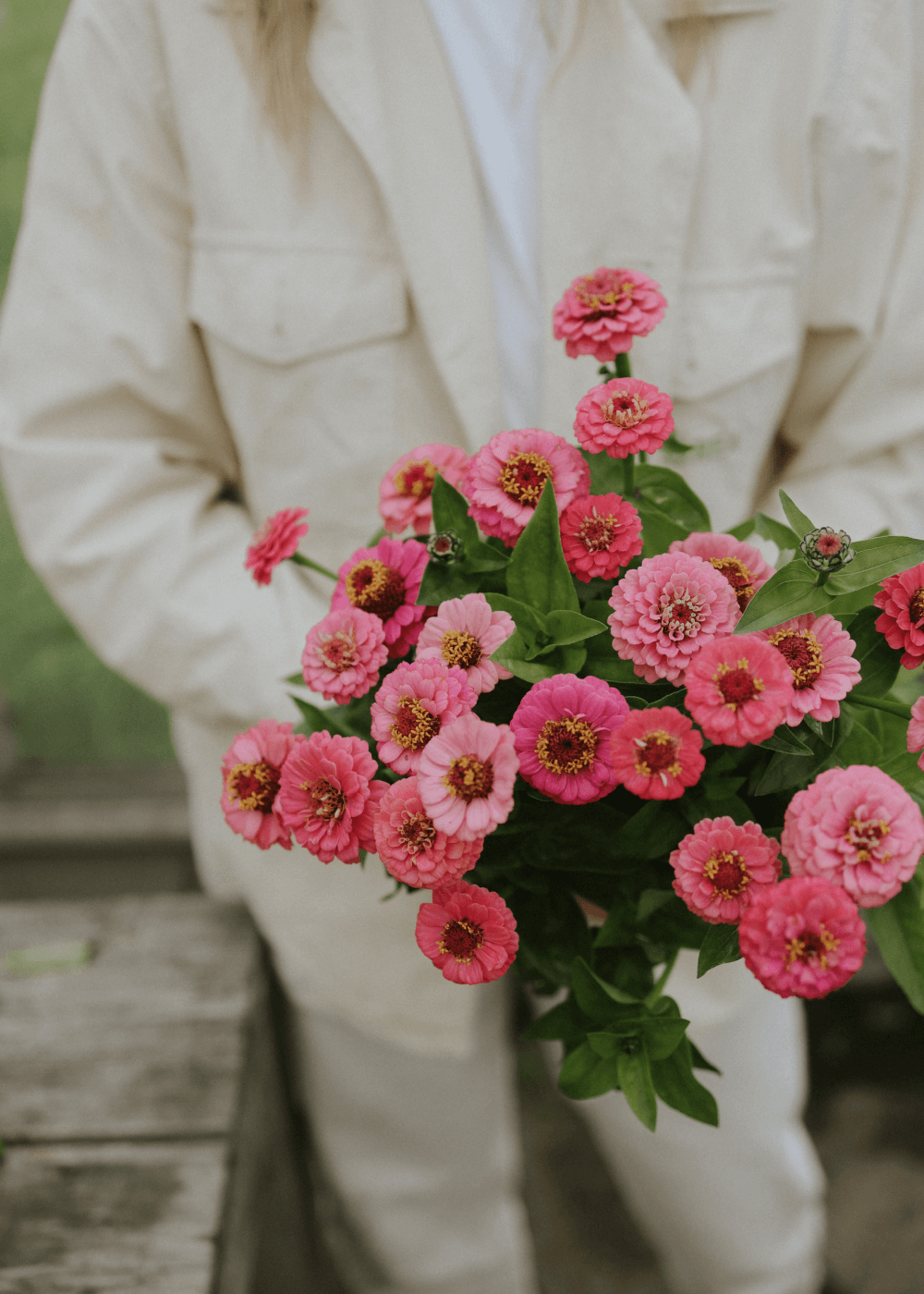 Zinnia - Lilliput Pink mix