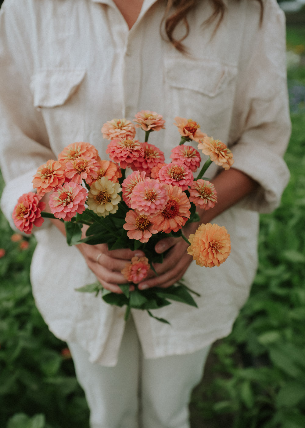 Zinnia - Lilliput Pink Mix