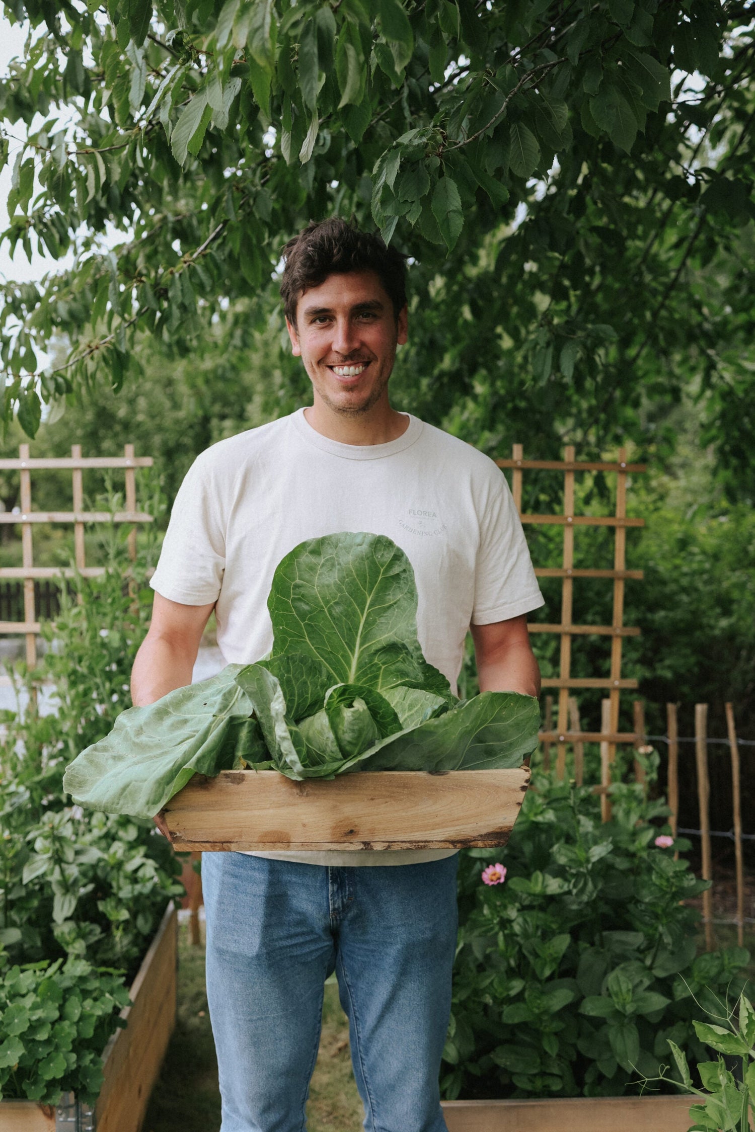 White Cabbage - Express