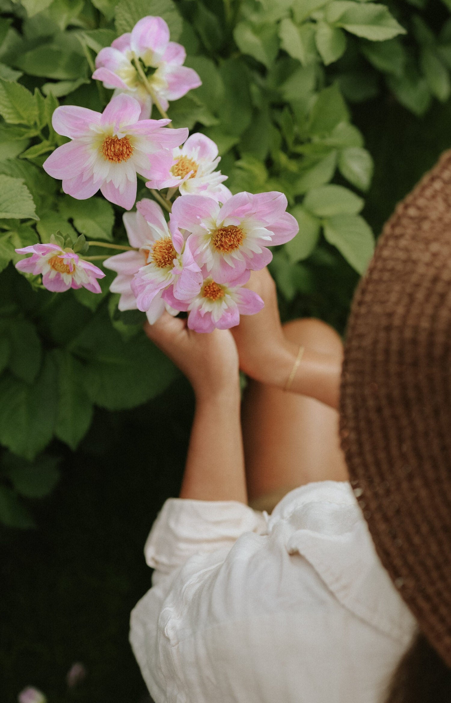 Dahlia - Teesbrooke Audrey