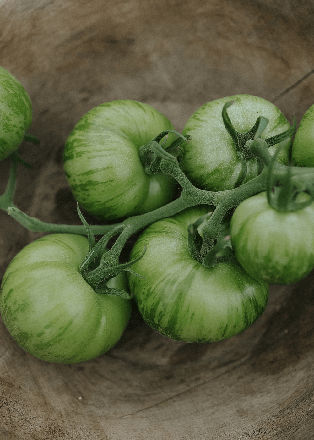 Tomat - Pink Thai Egg