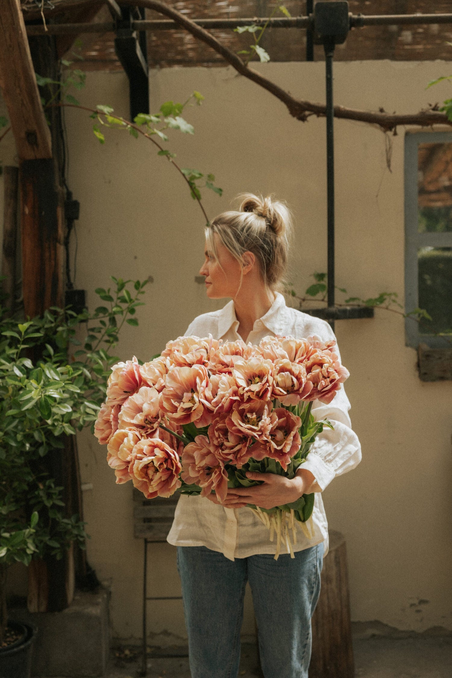 Tulip - La Belle Epoque