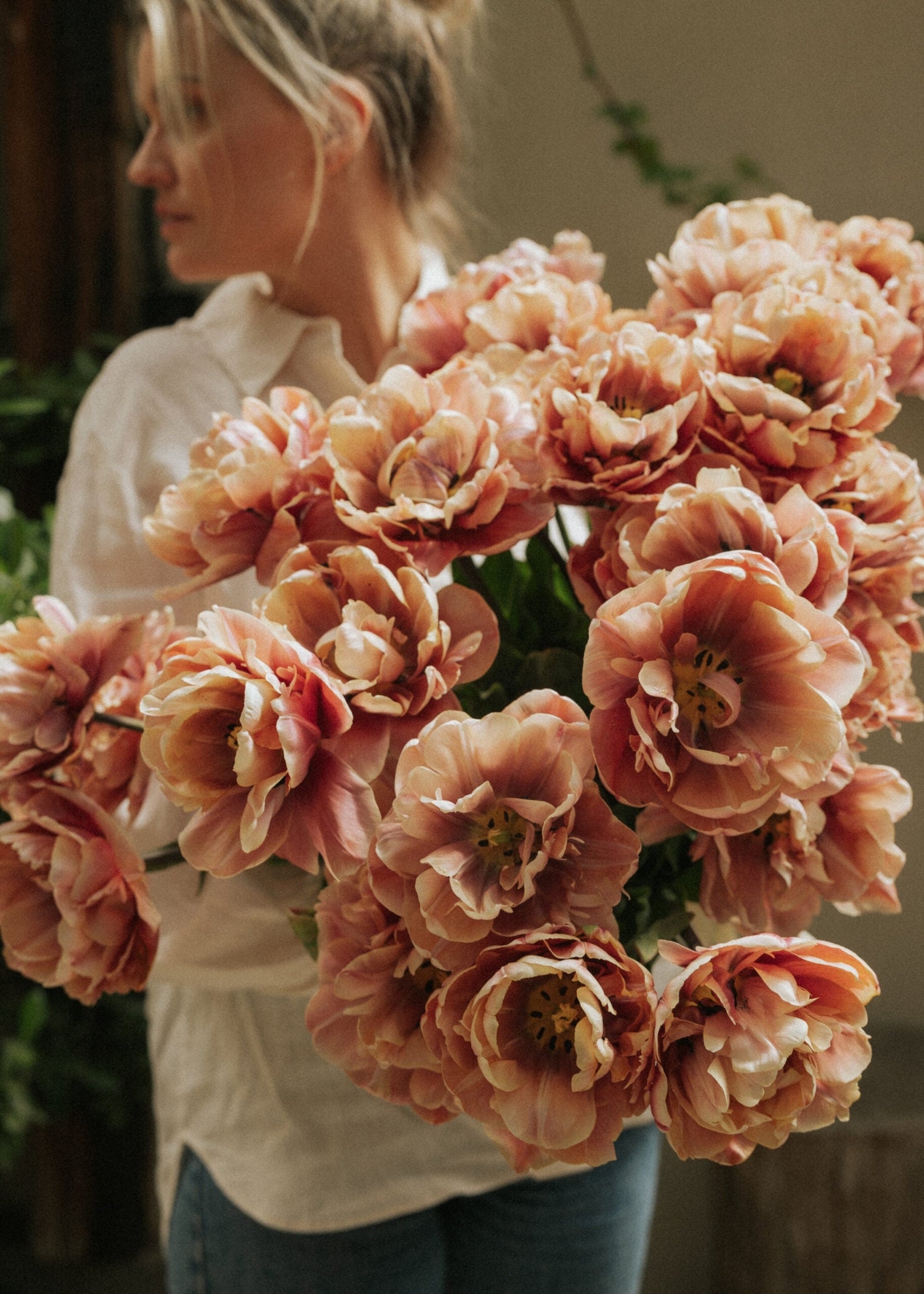 Tulip - La Belle Epoque