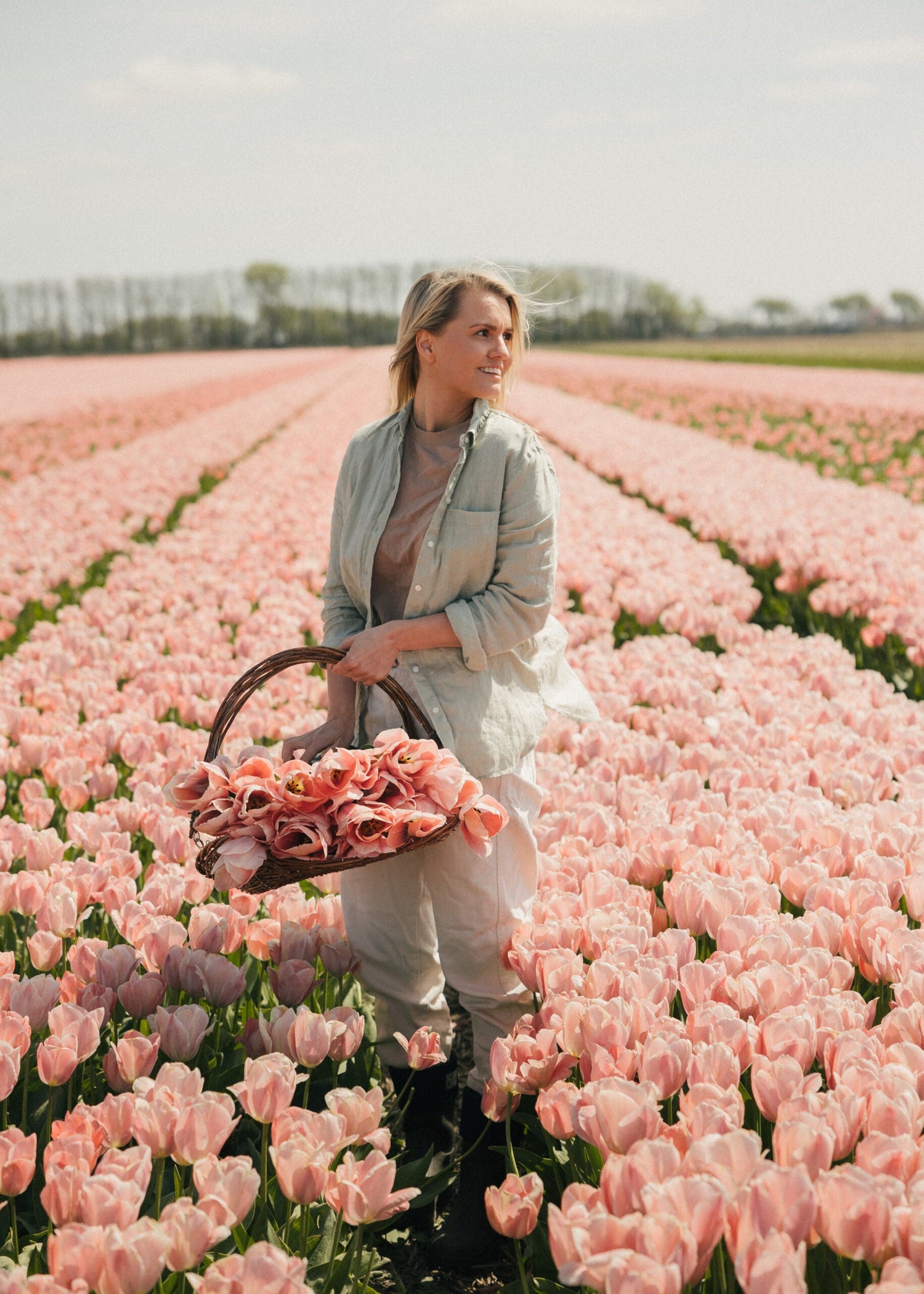 Tulip - Mystique Van Eijk