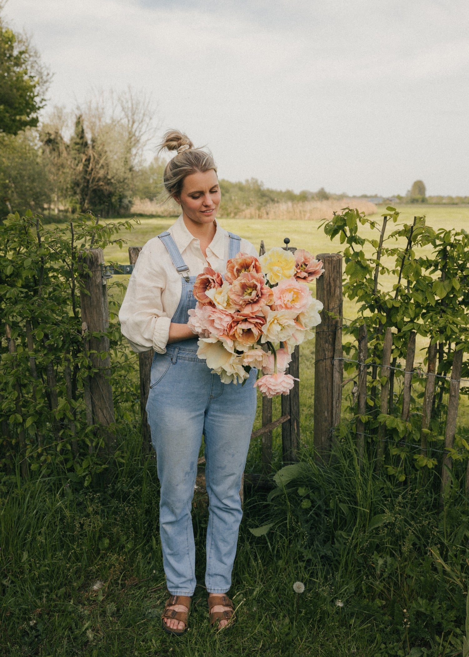 Tulip Mix - La Fine Fleur