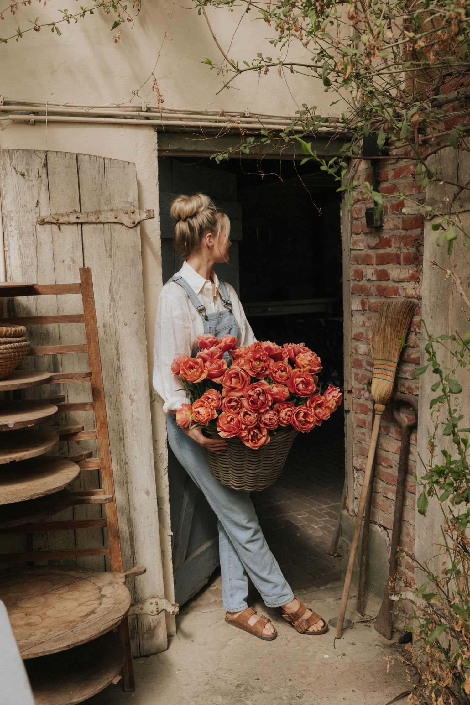 Tulip - Copper Image